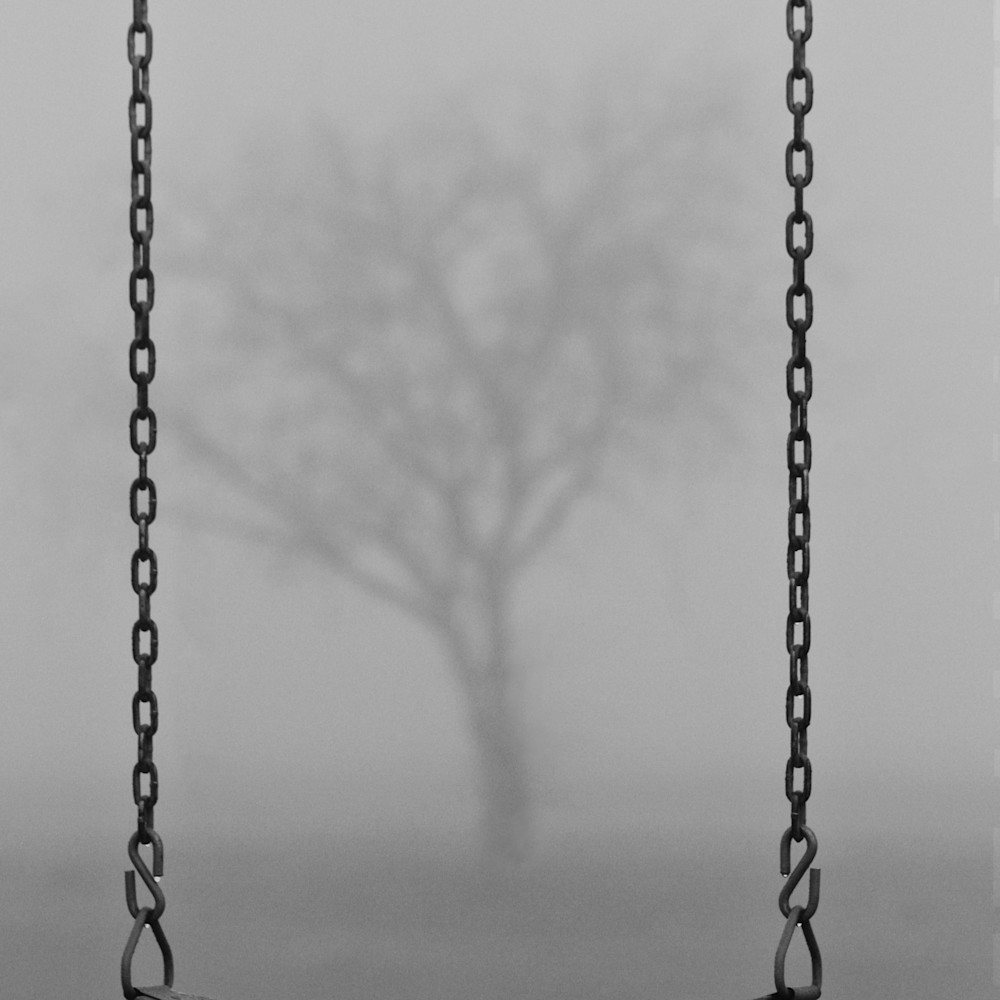 Fog in the park 8x10 zanlq2