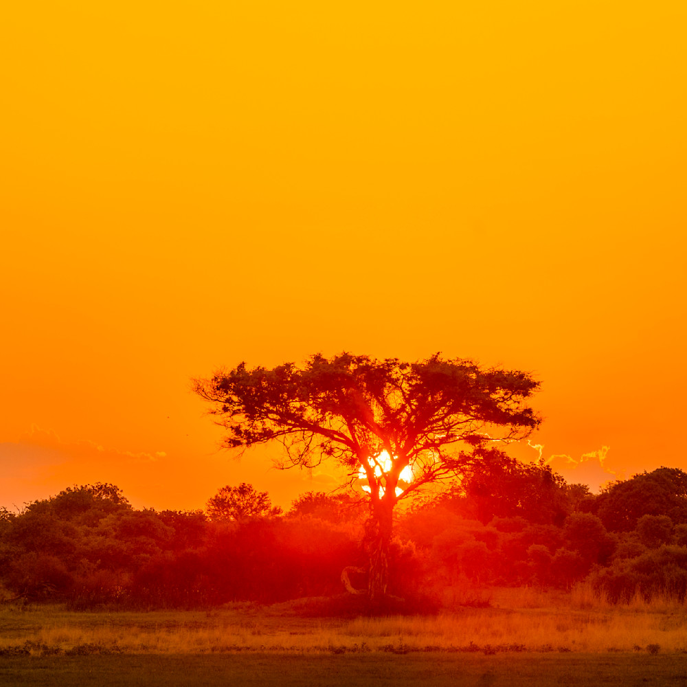 African sunset iaftm5