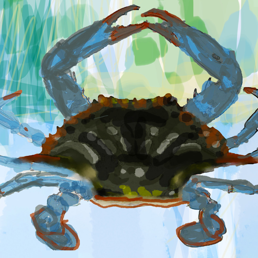 Crab mba8qj