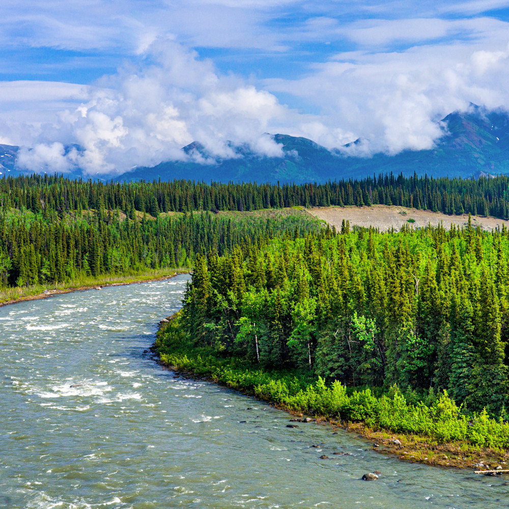 Alaska s nenana river almllw