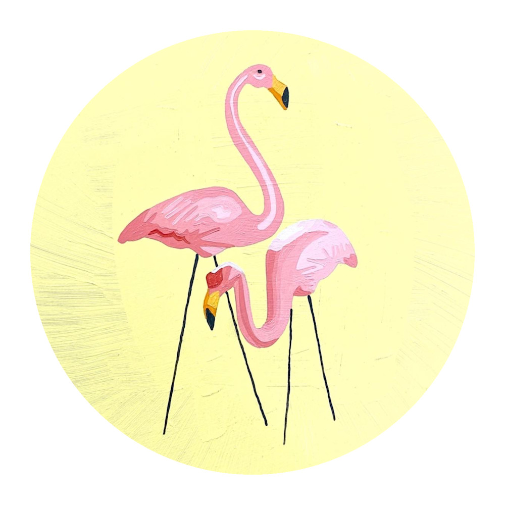 Flamingoes xsw7d6