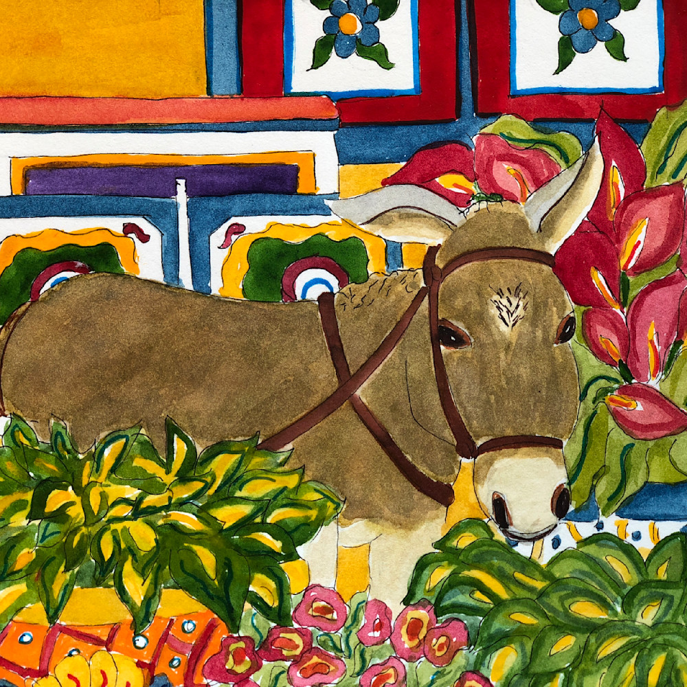 Mexican flower donkey vqmt6x