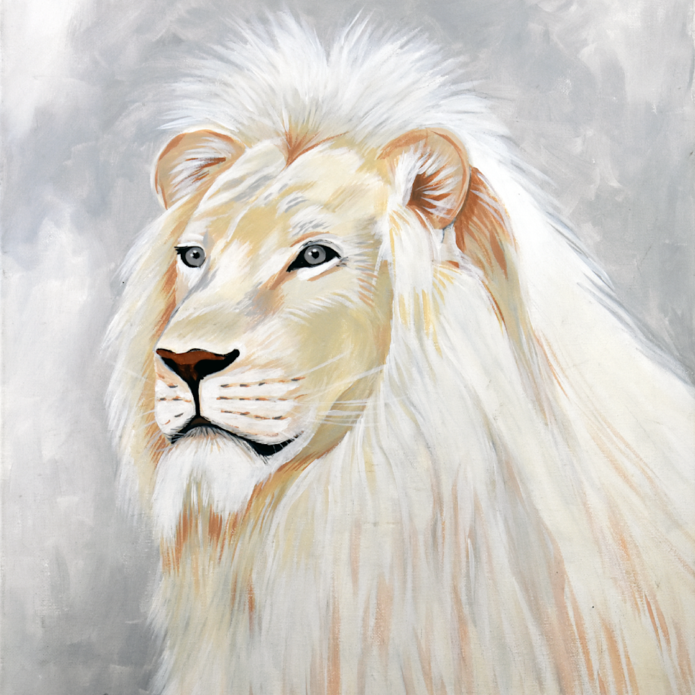 John catalfamo   albino lion sl8zvx