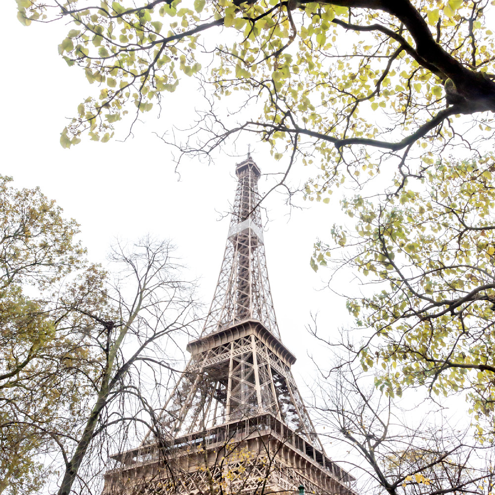 Paris eiffel tower in the autumn ku0dv8