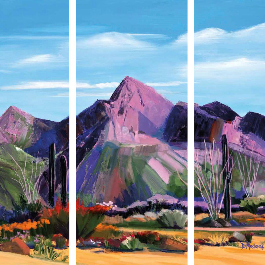 Pink Ocotillo At Pusch Ridge Triptych Art Print
