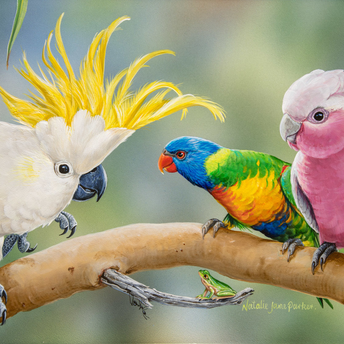 Colourful Company Sulphur Crested Cockatoo Rainbow Lorikeet