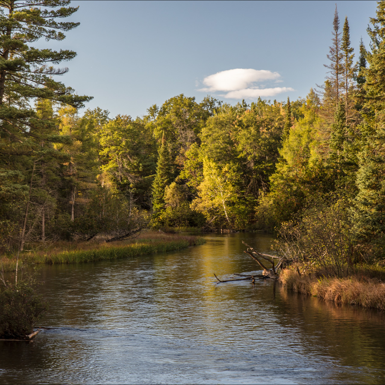 Au Sable River