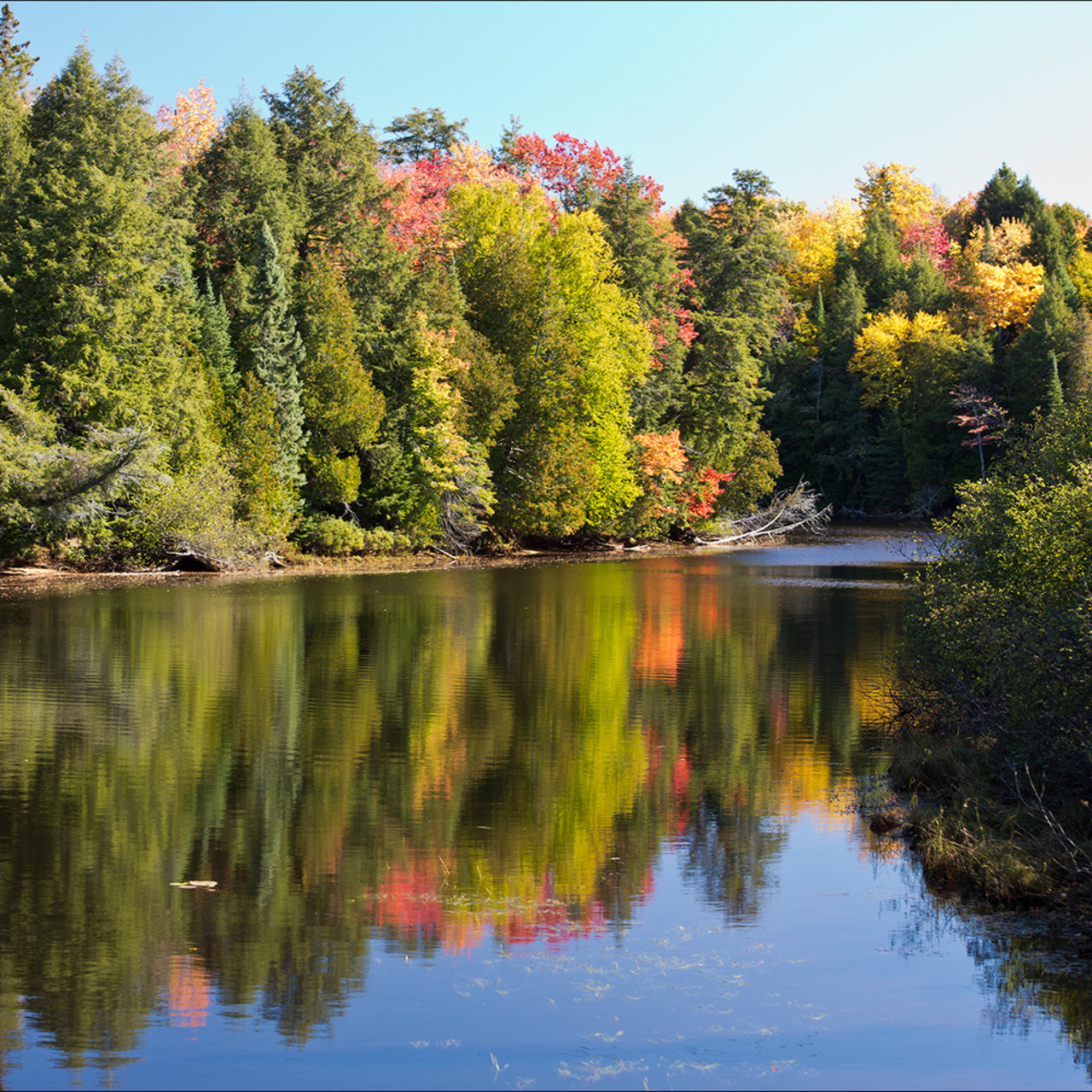 Tahquamenon River