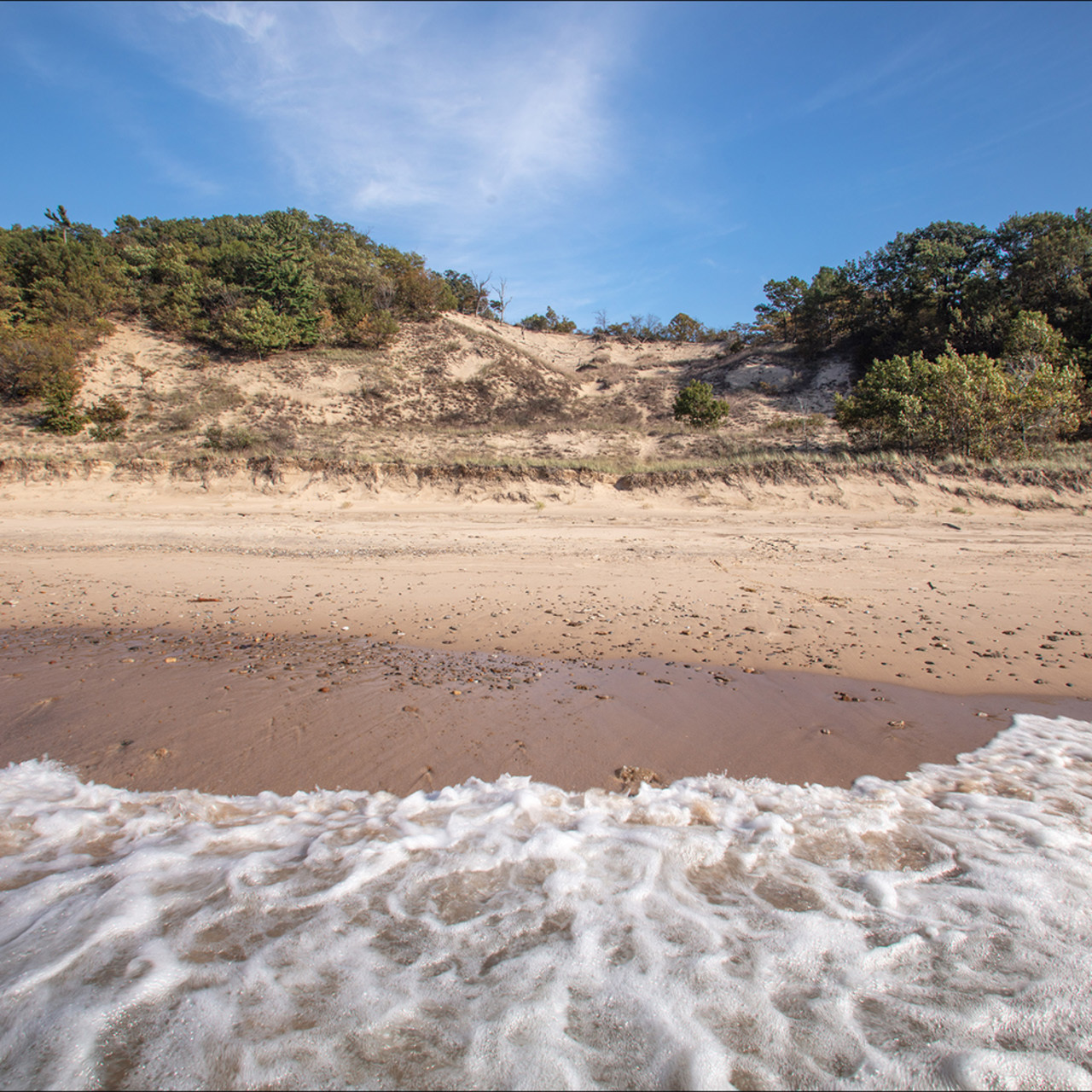Warren Dunes Beach