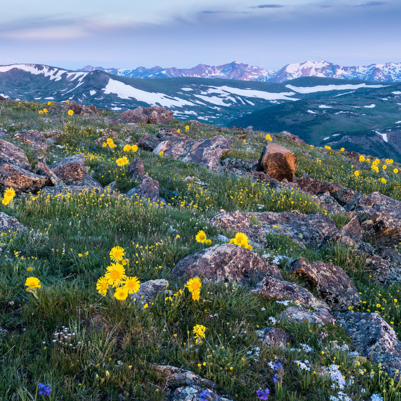 Art Photography Of Colorado Rocky Mountains By James Frank Perfect For Home And Office Decor