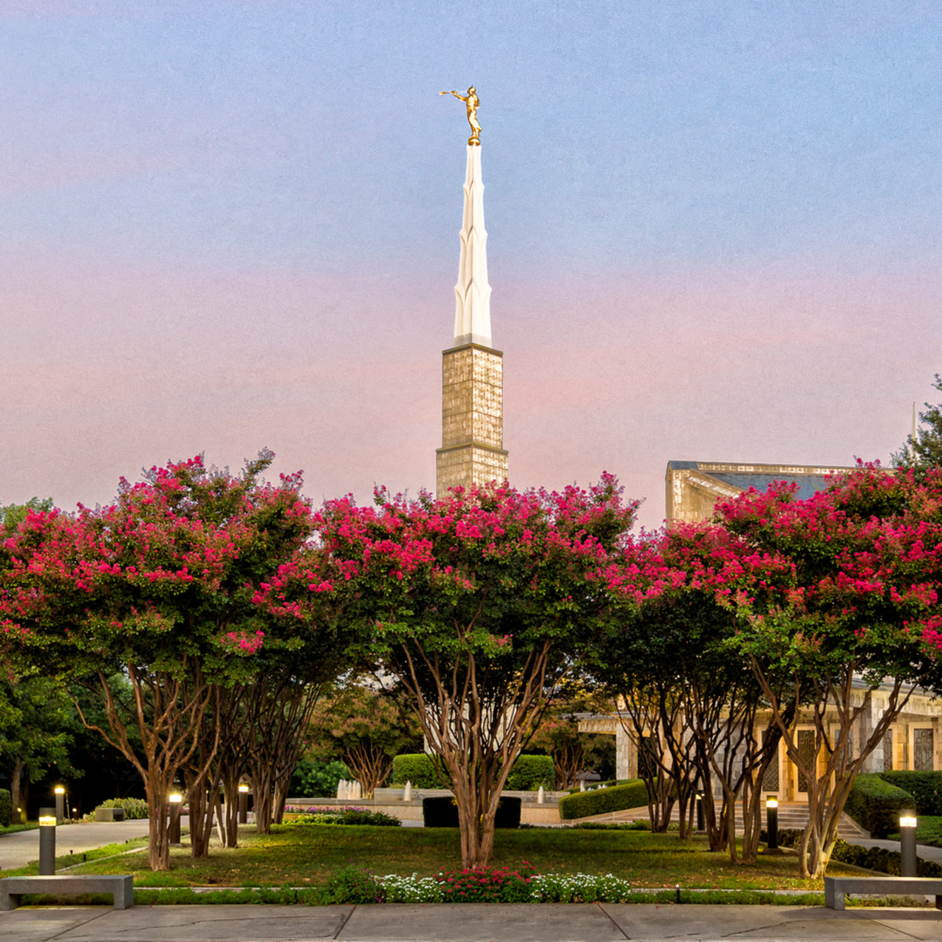 Dallas Temple Flowering Trees