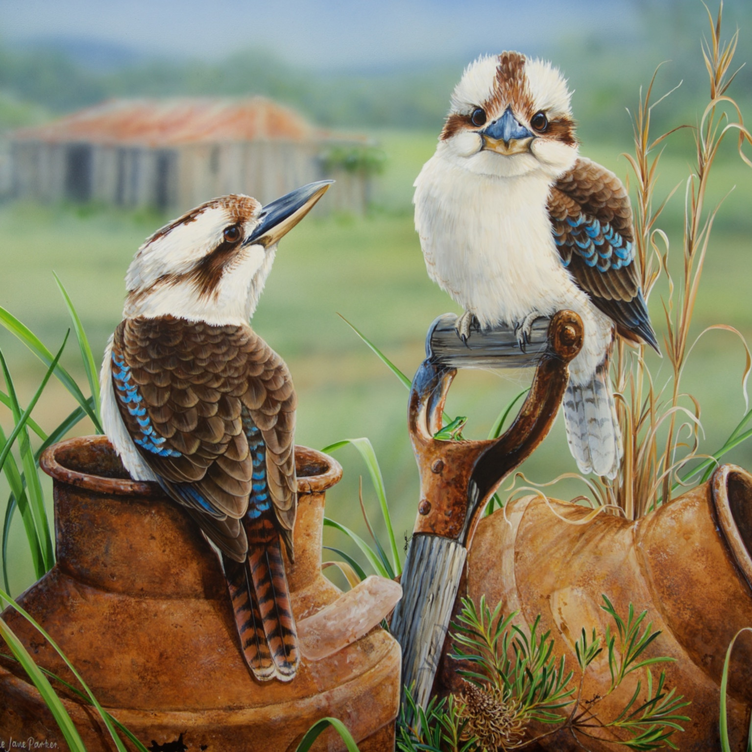 Countrysiders Laughing Kookaburra S Natalie Jane Parker Australian Native Fauna Print See what louise gibson (kookuburra) has discovered on pinterest, the world's biggest collection of ideas. countrysiders laughing kookaburra s natalie jane parker australian native fauna print