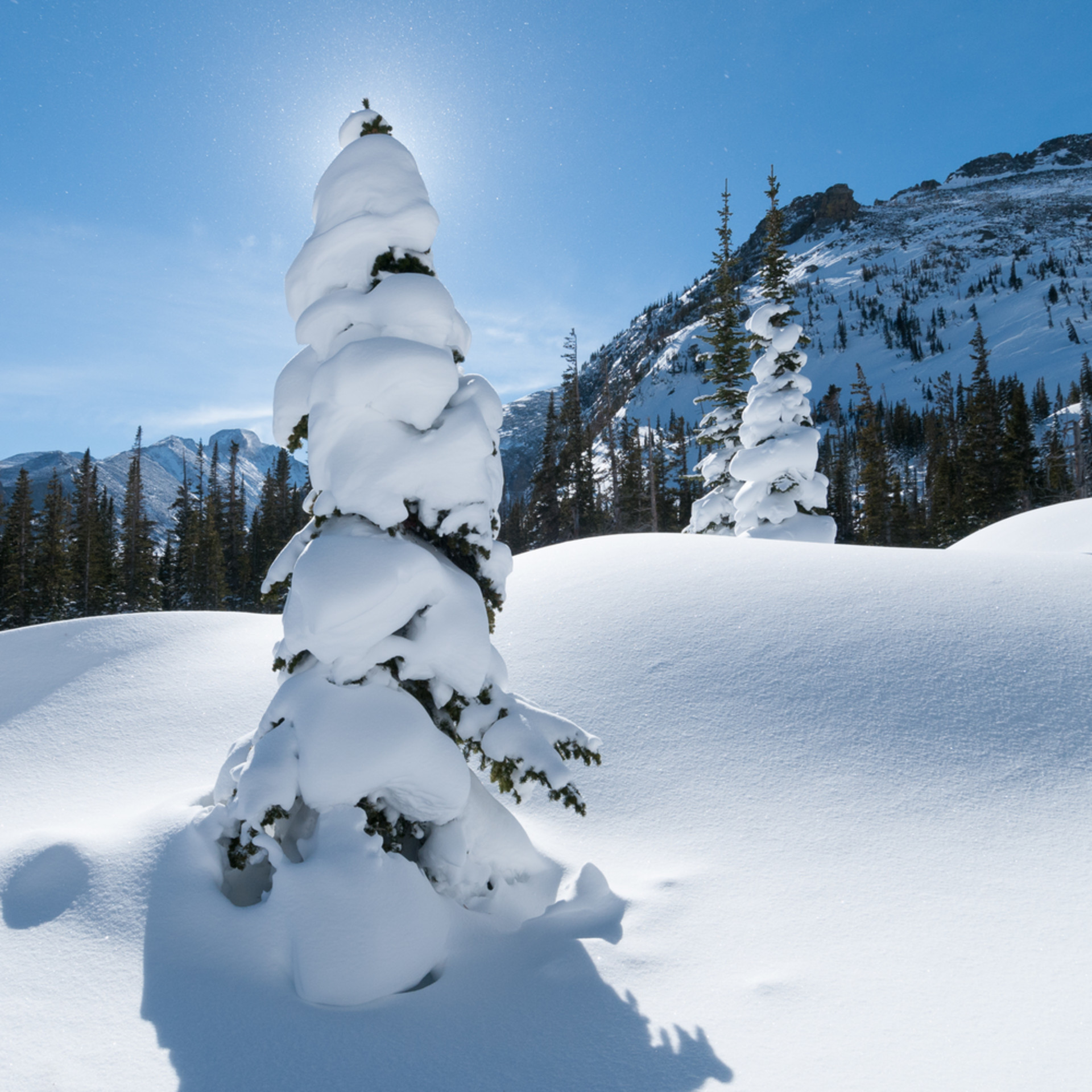 Winter In Rmnp
