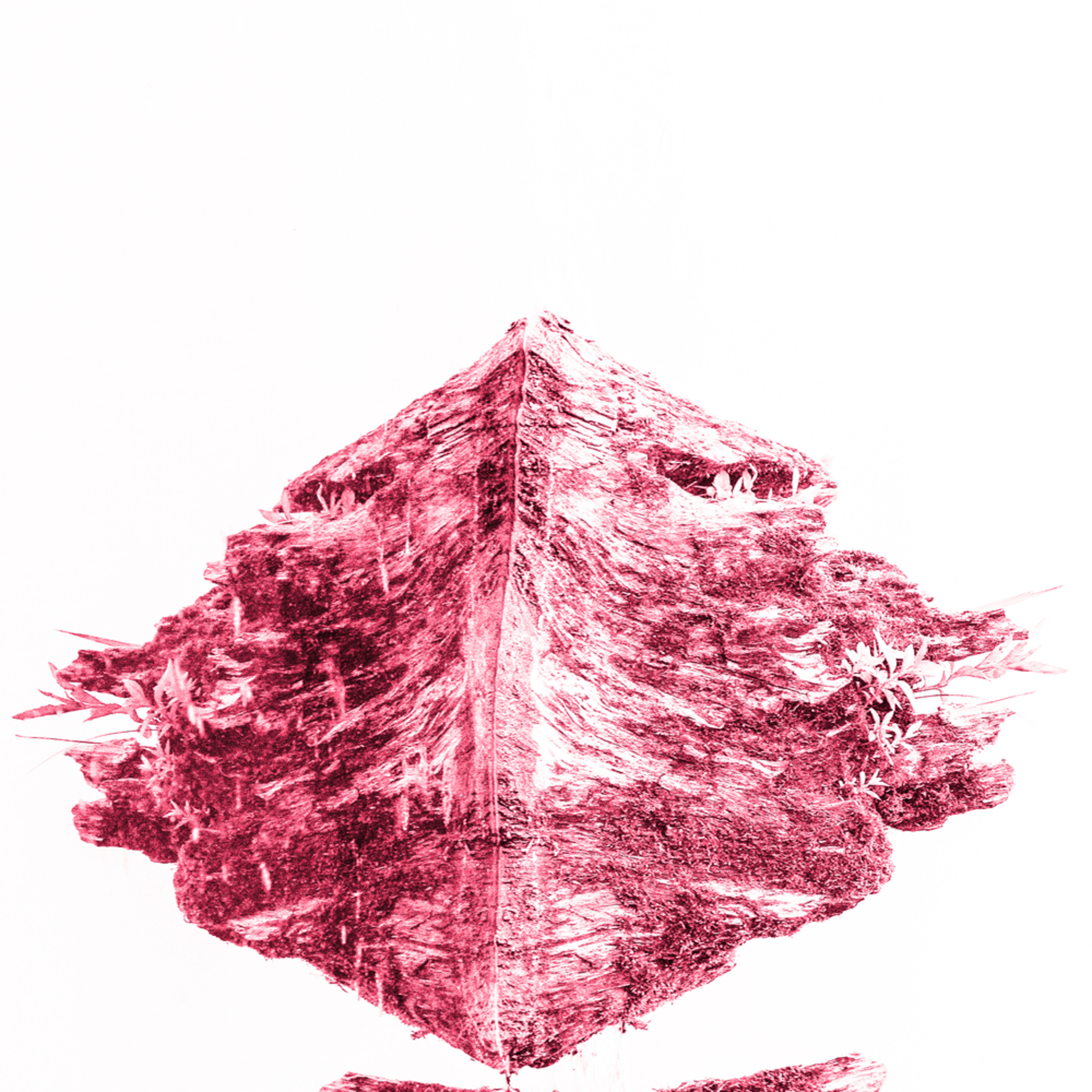 Fine Art Abstract Photographs