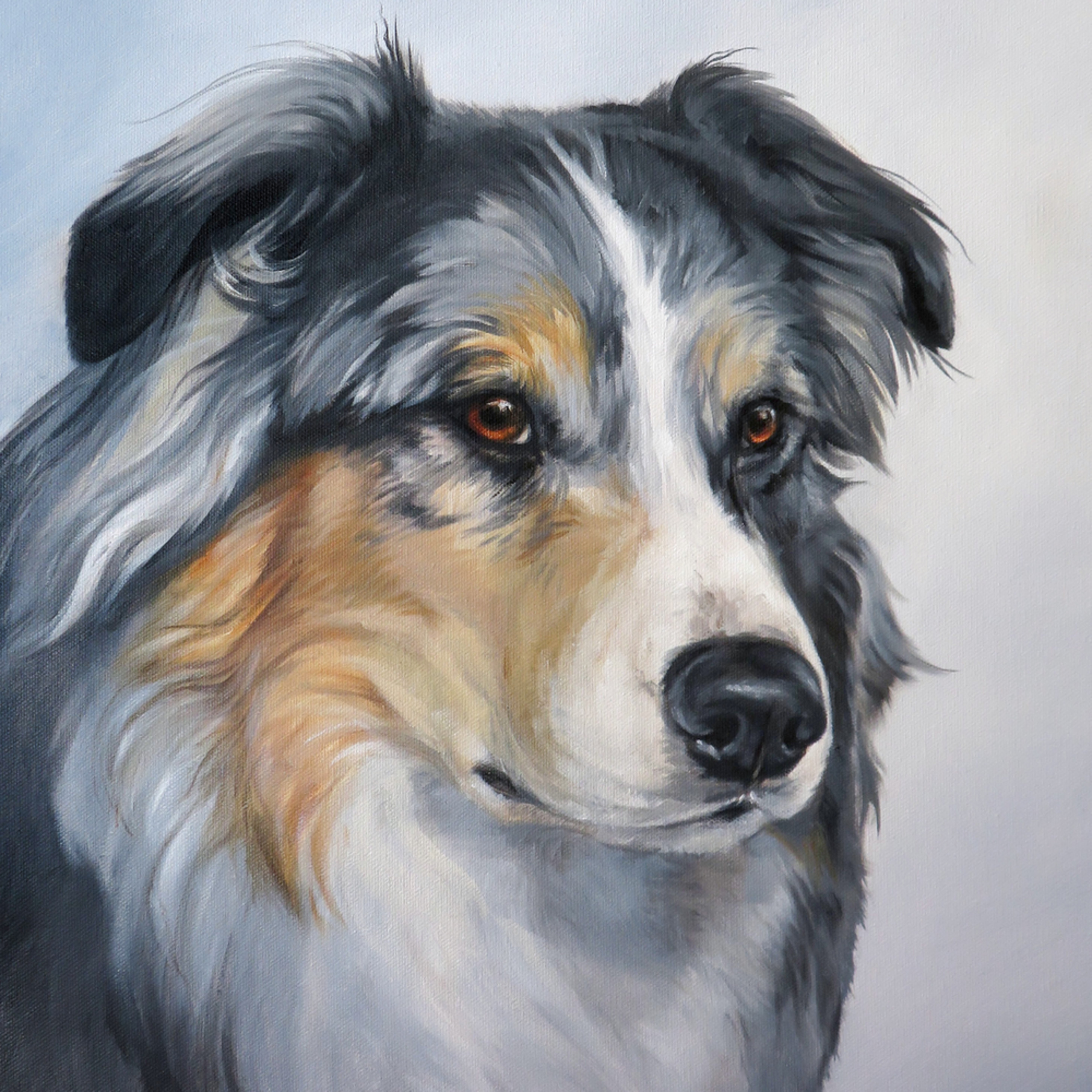 Print Portrait Of An Australian Shepherd Painting In Oil