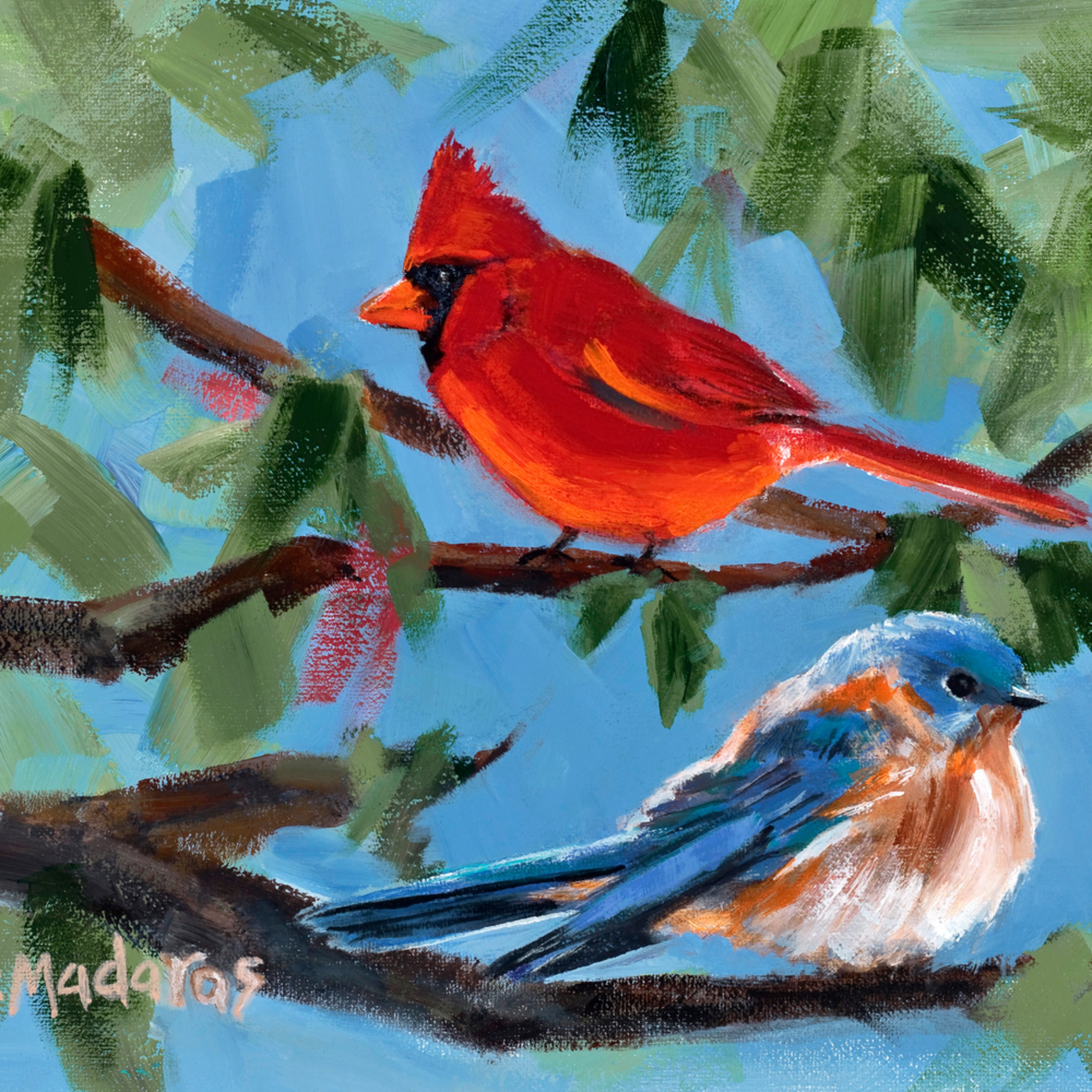 The Cardinal The Bluebird Southwest Art Gallery Tucson