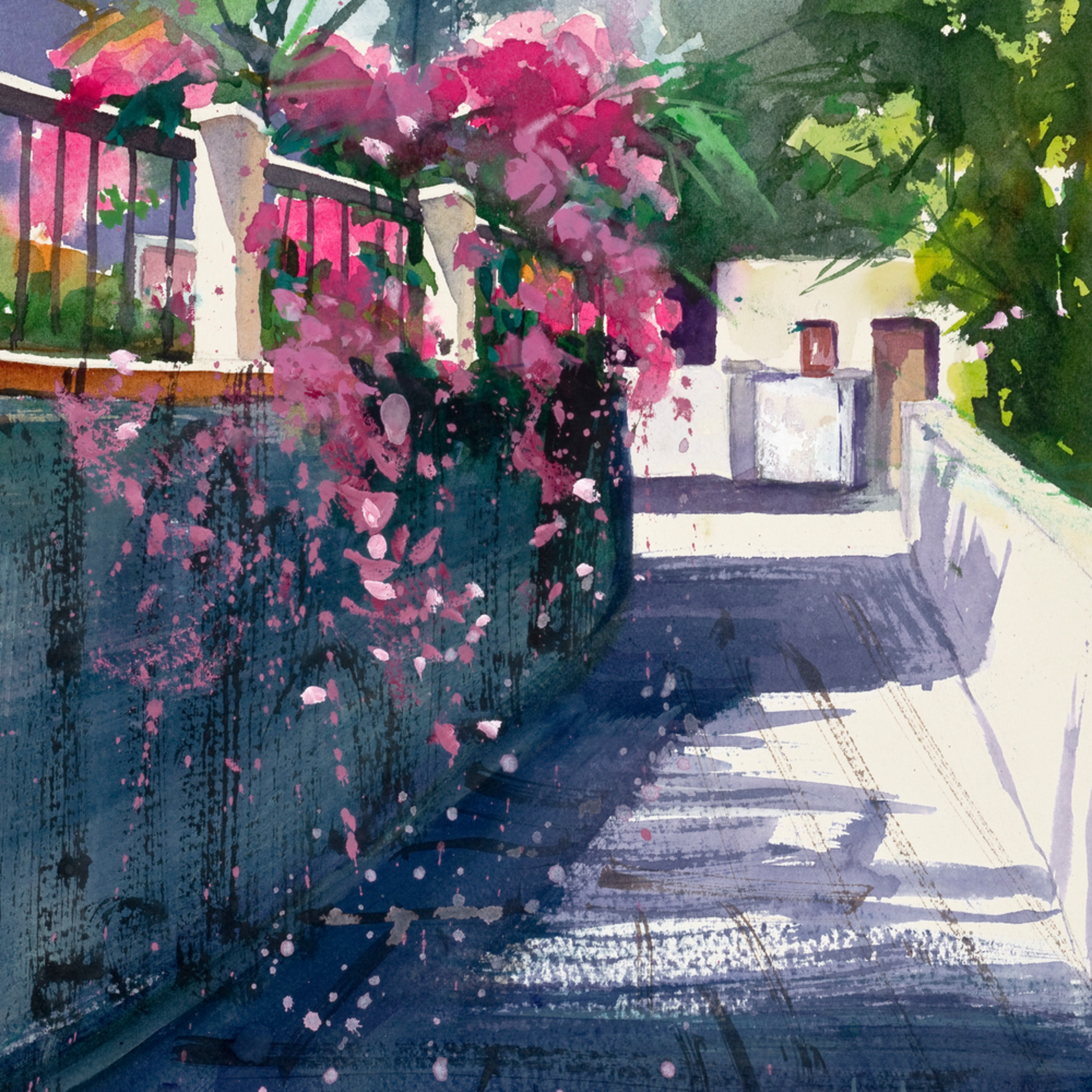 Street Of Bougainvillea Watercolor