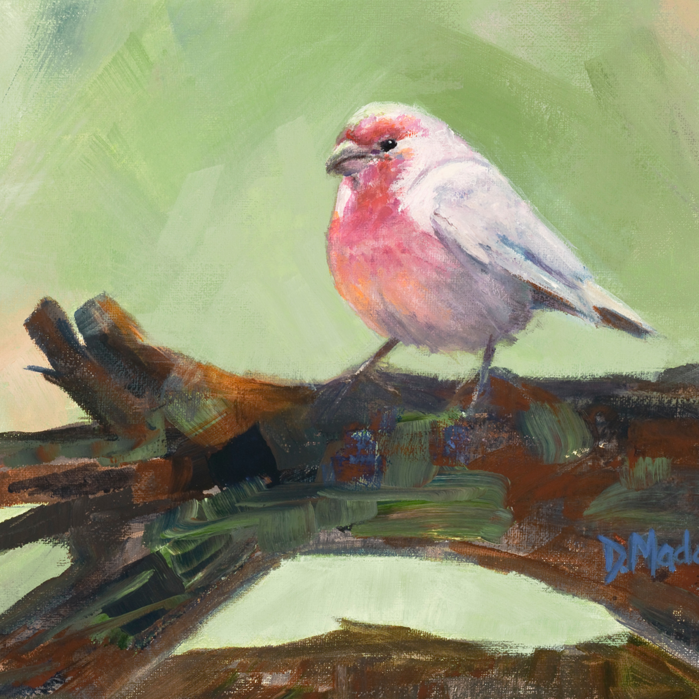House Finch Bird Painting