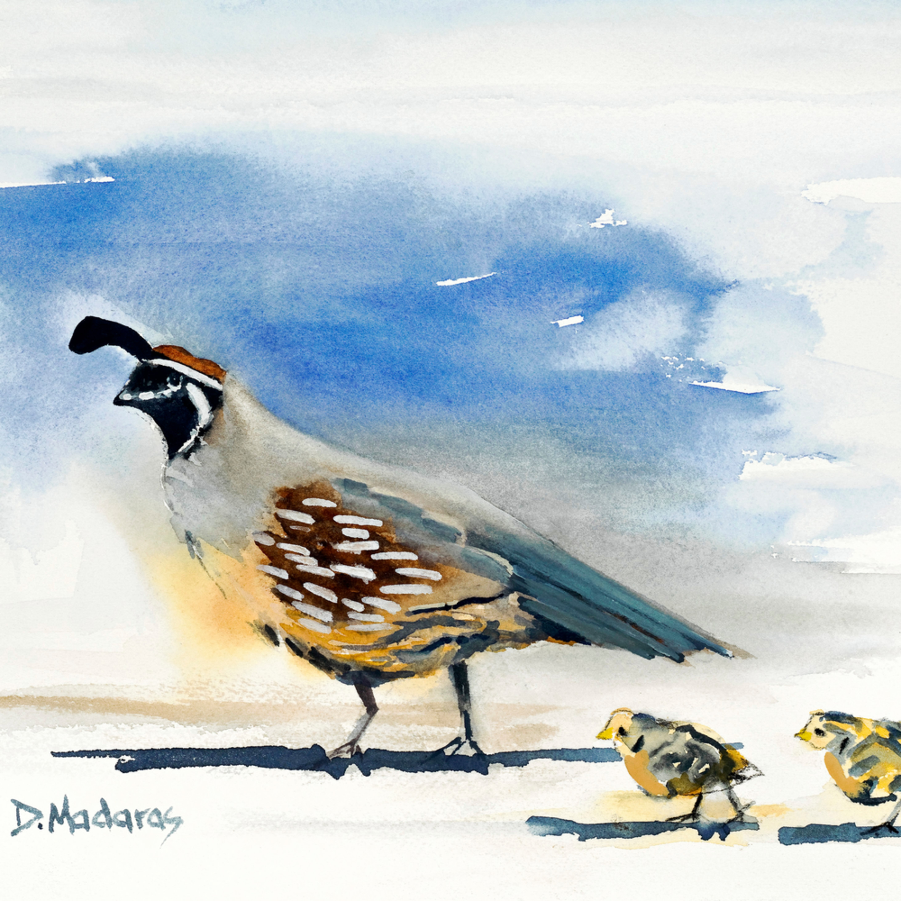 Quail Walk In The Park By Diana Madaras