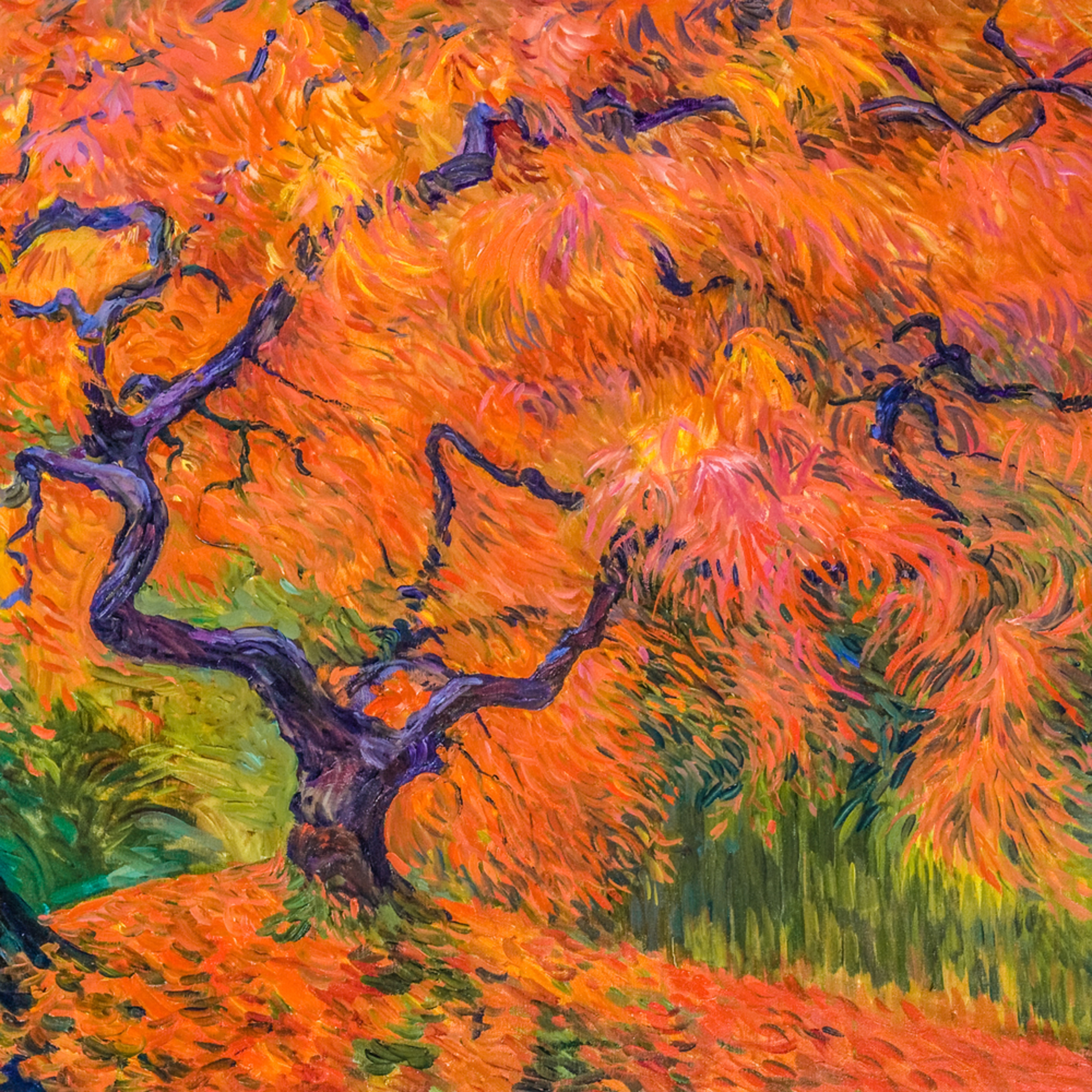 Japanese Maple Oil Painting Artwork For Sale Buy Art Online