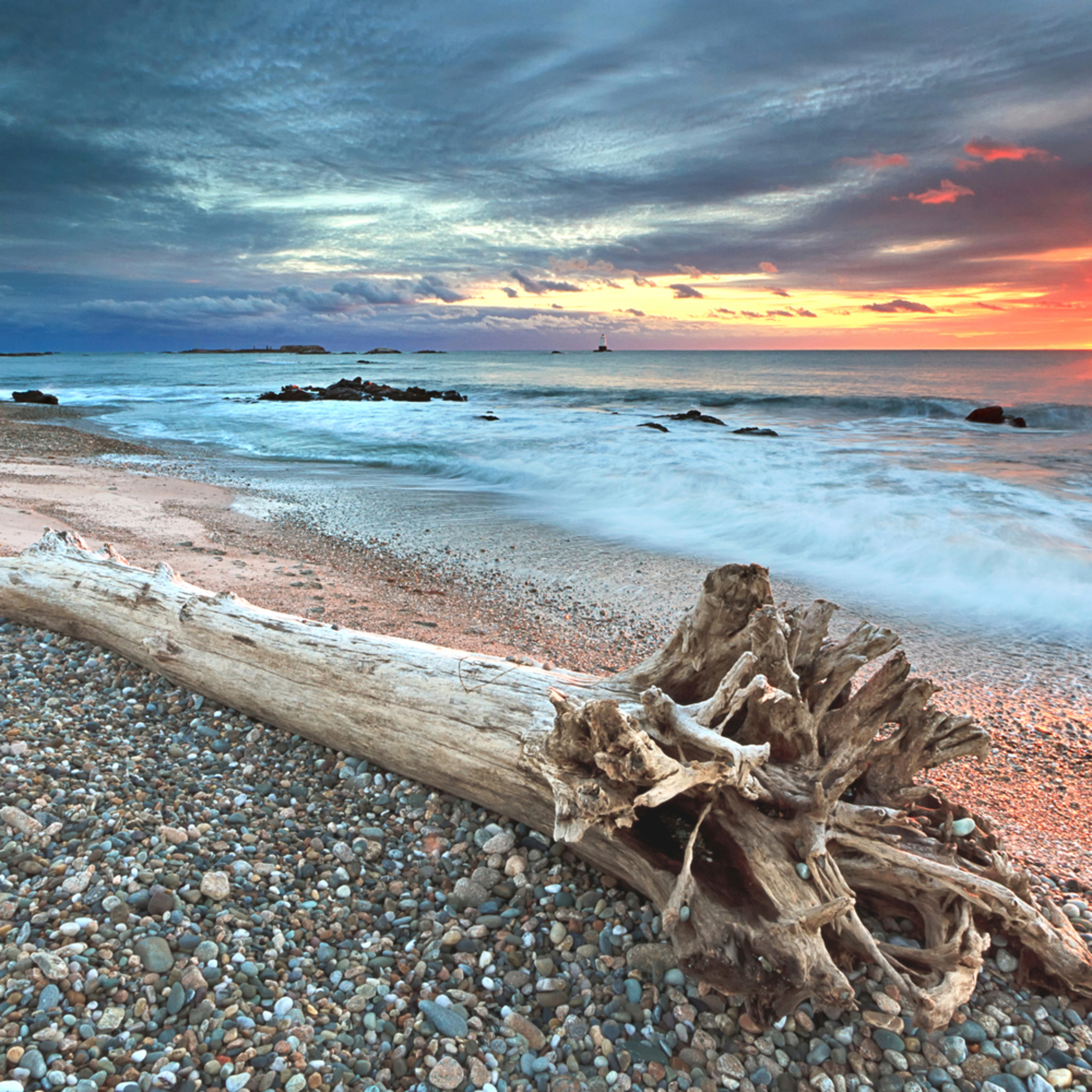Sakonnet Driftwood Fine Art Beach Seascape Photograph Taken At Sakonnet Driftwood Fine Art Beach