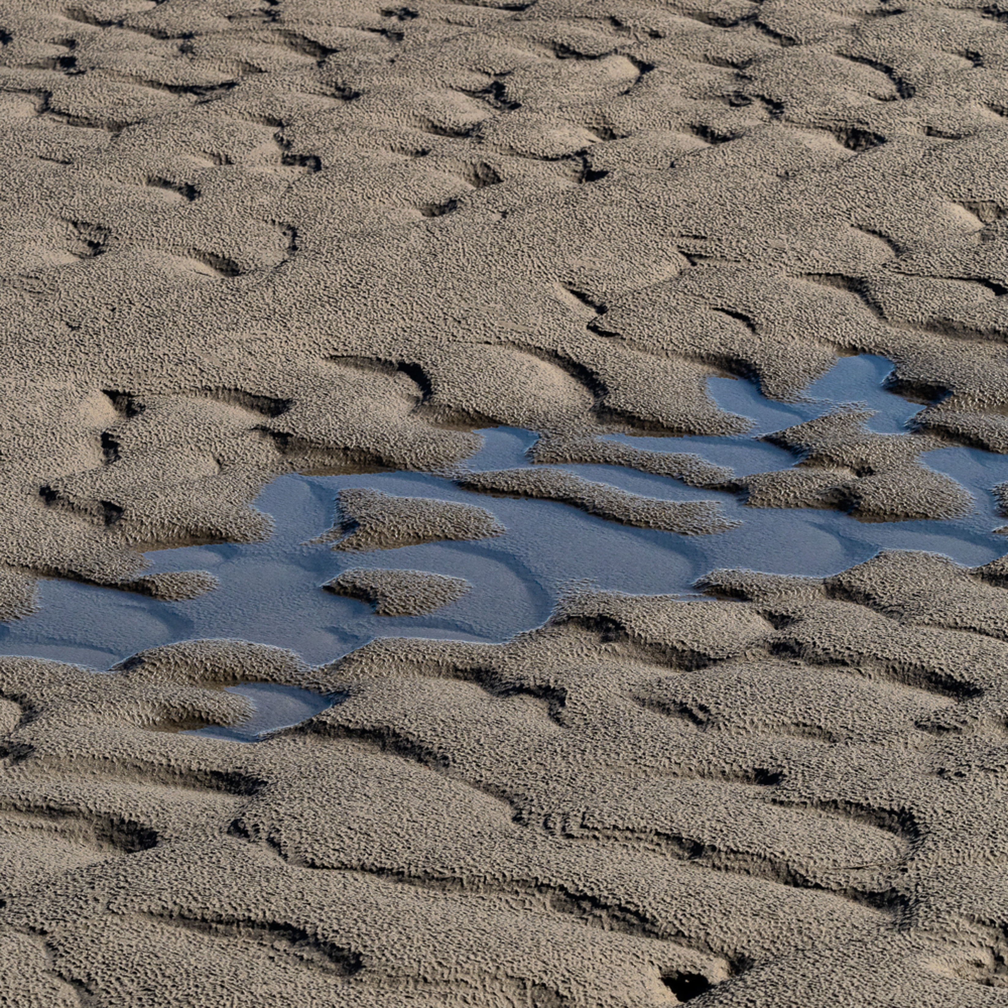 Abstract Patterns In Tidal Silt Along Turnagain Arm In Southcentral