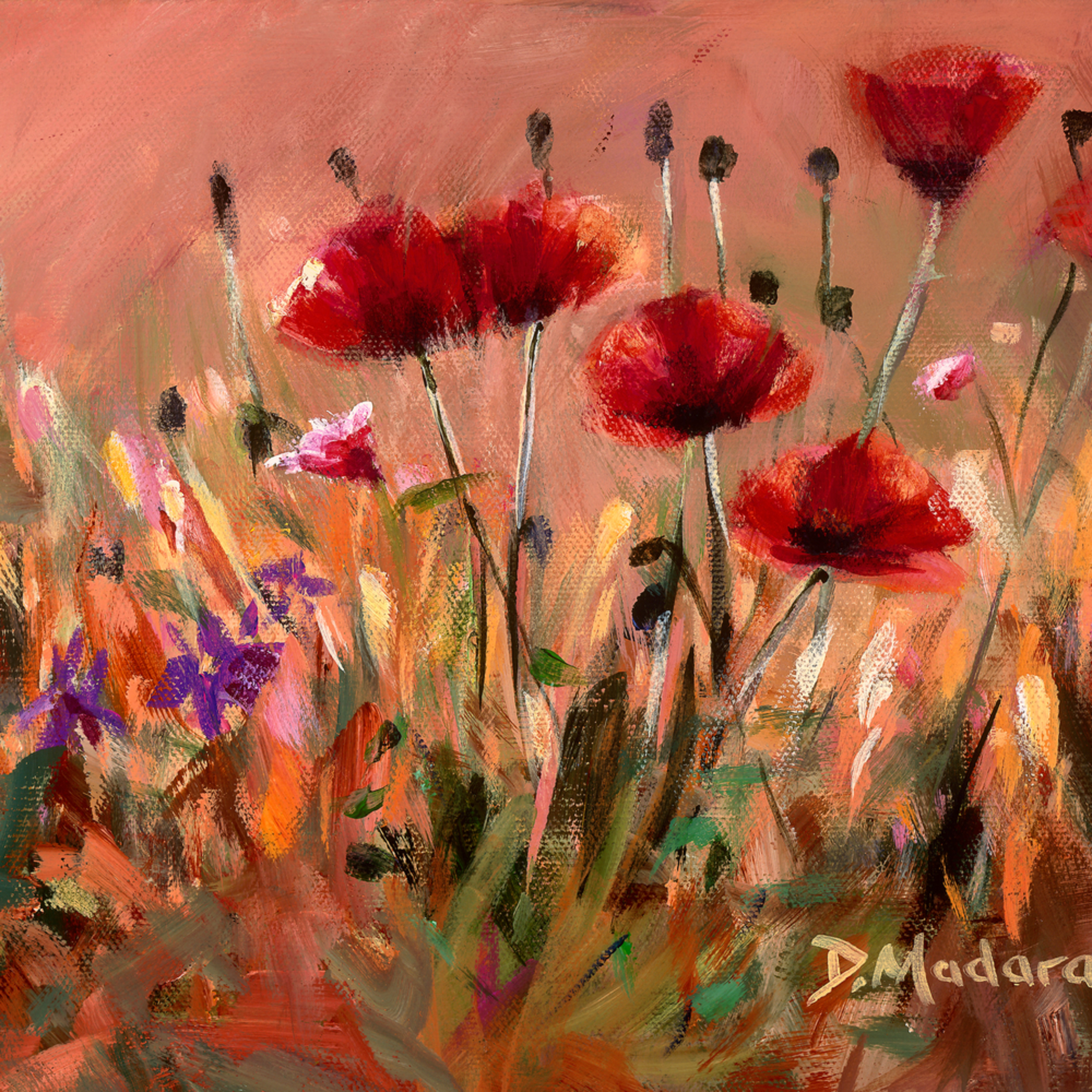 Poppies Southwest Art Gallery Tucson Madaras Gallery