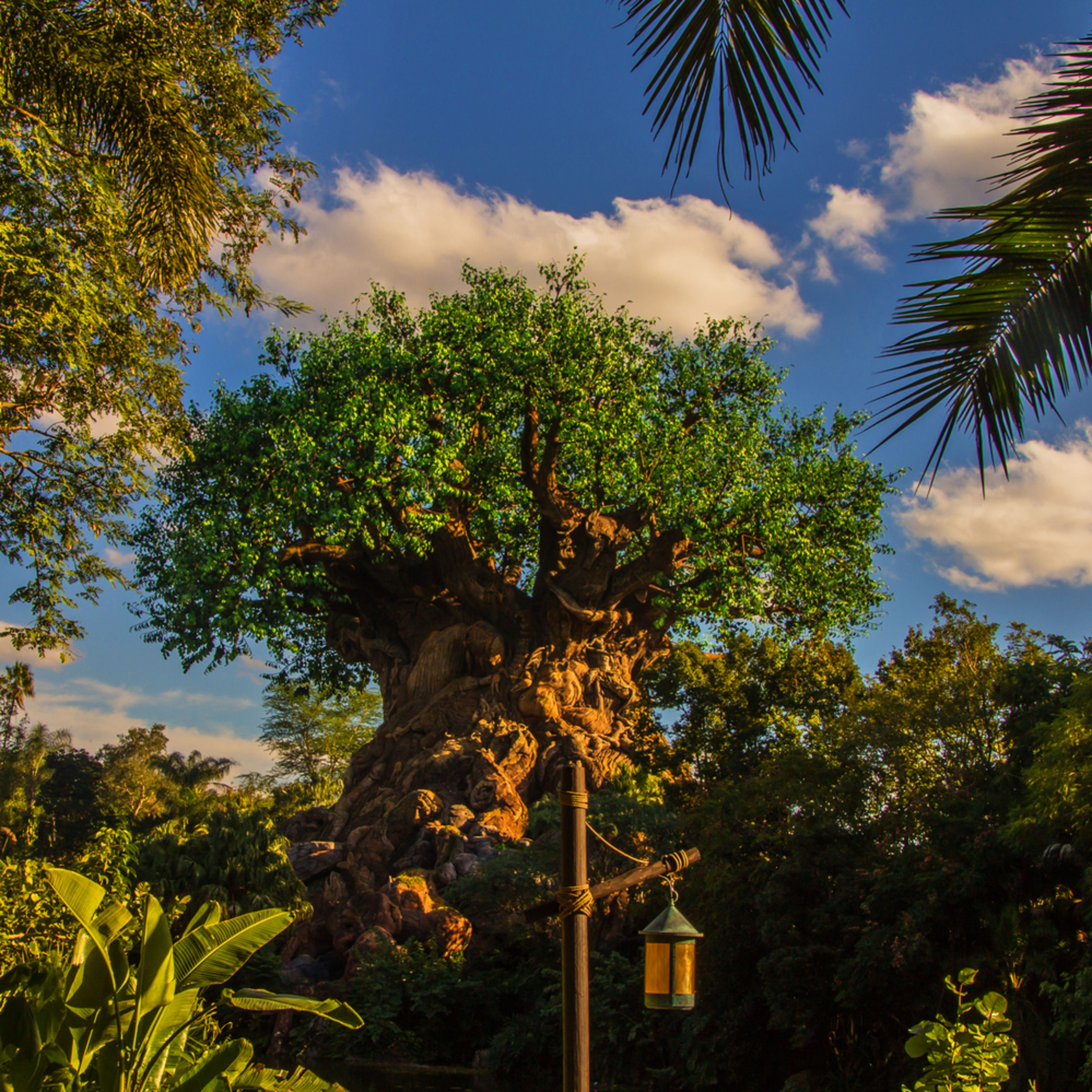 Tropical Tree Of Life Disney Prints For Sale William Drew