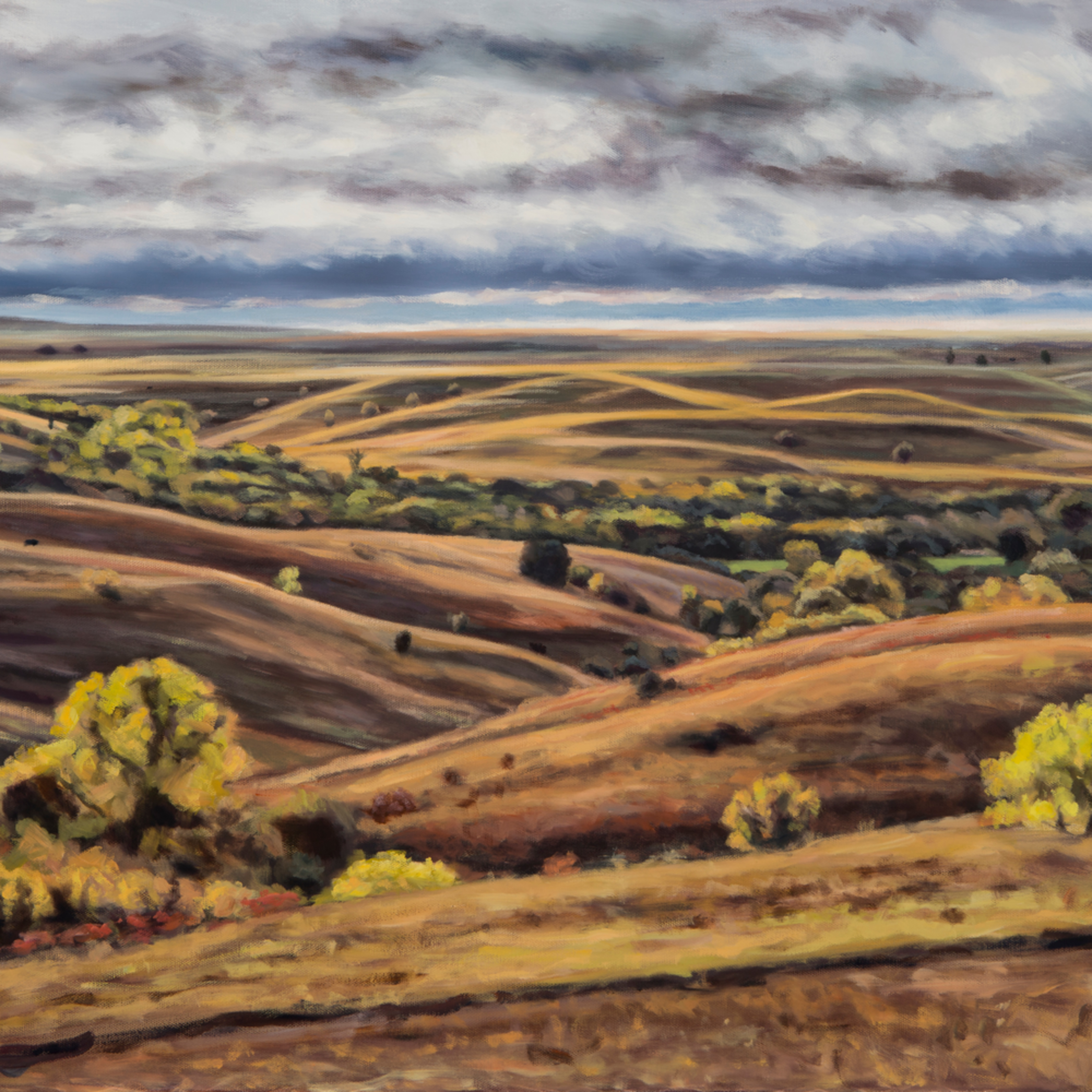 Flint Hills X