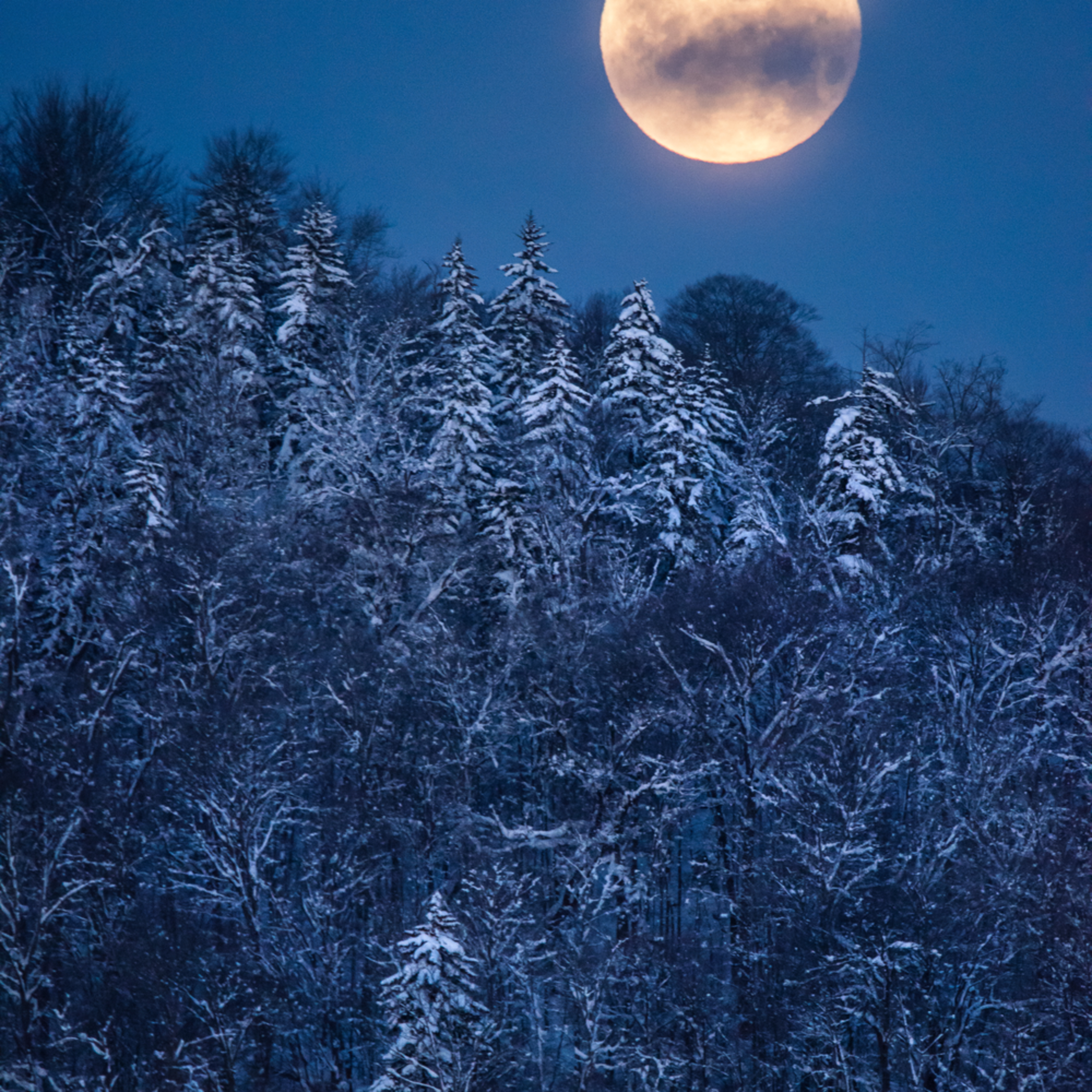 Wolf Moon Full Super Photography Art Kurt Gardner Photogarphy
