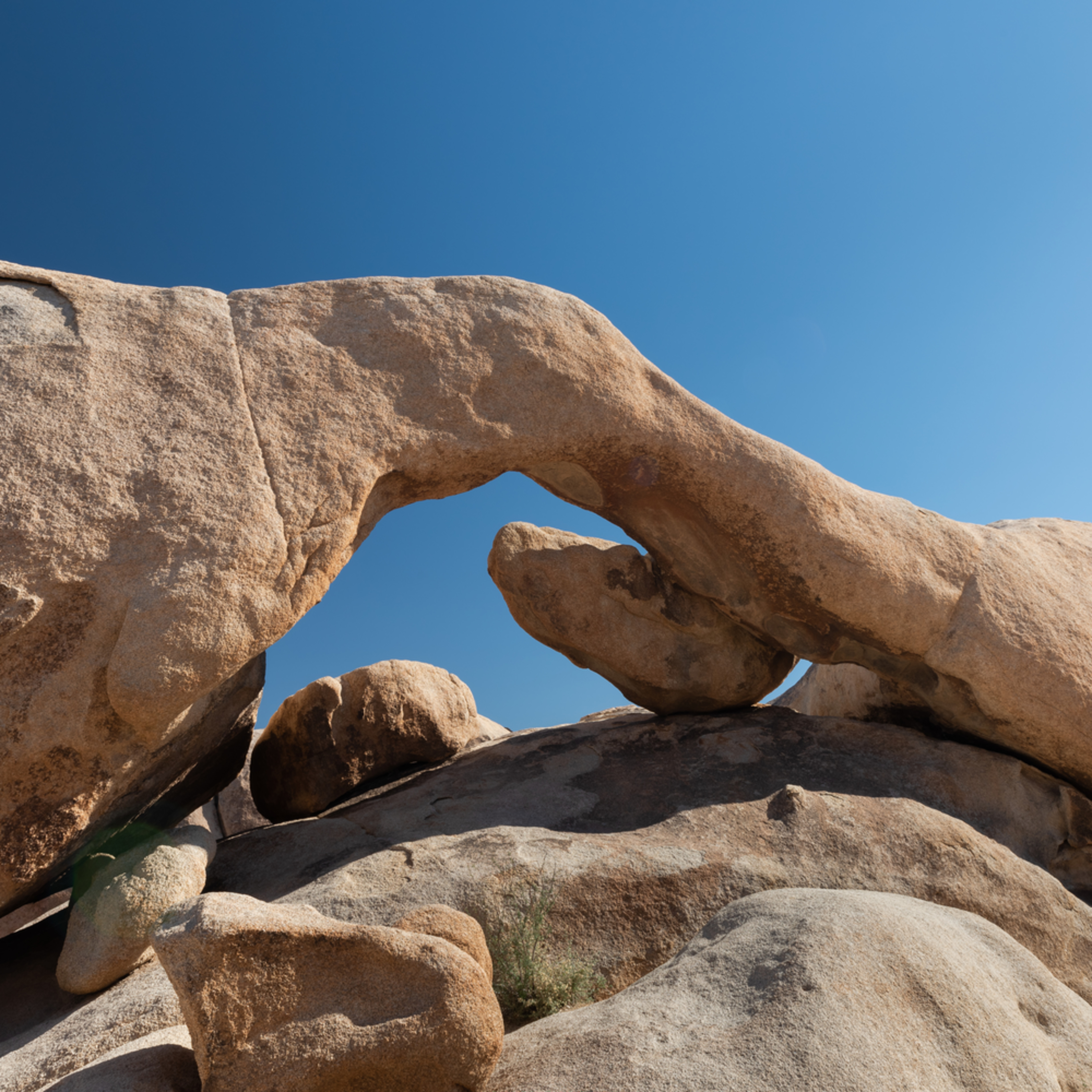 "Arch Rock - Joshua Tree National Park" Photograph for ...