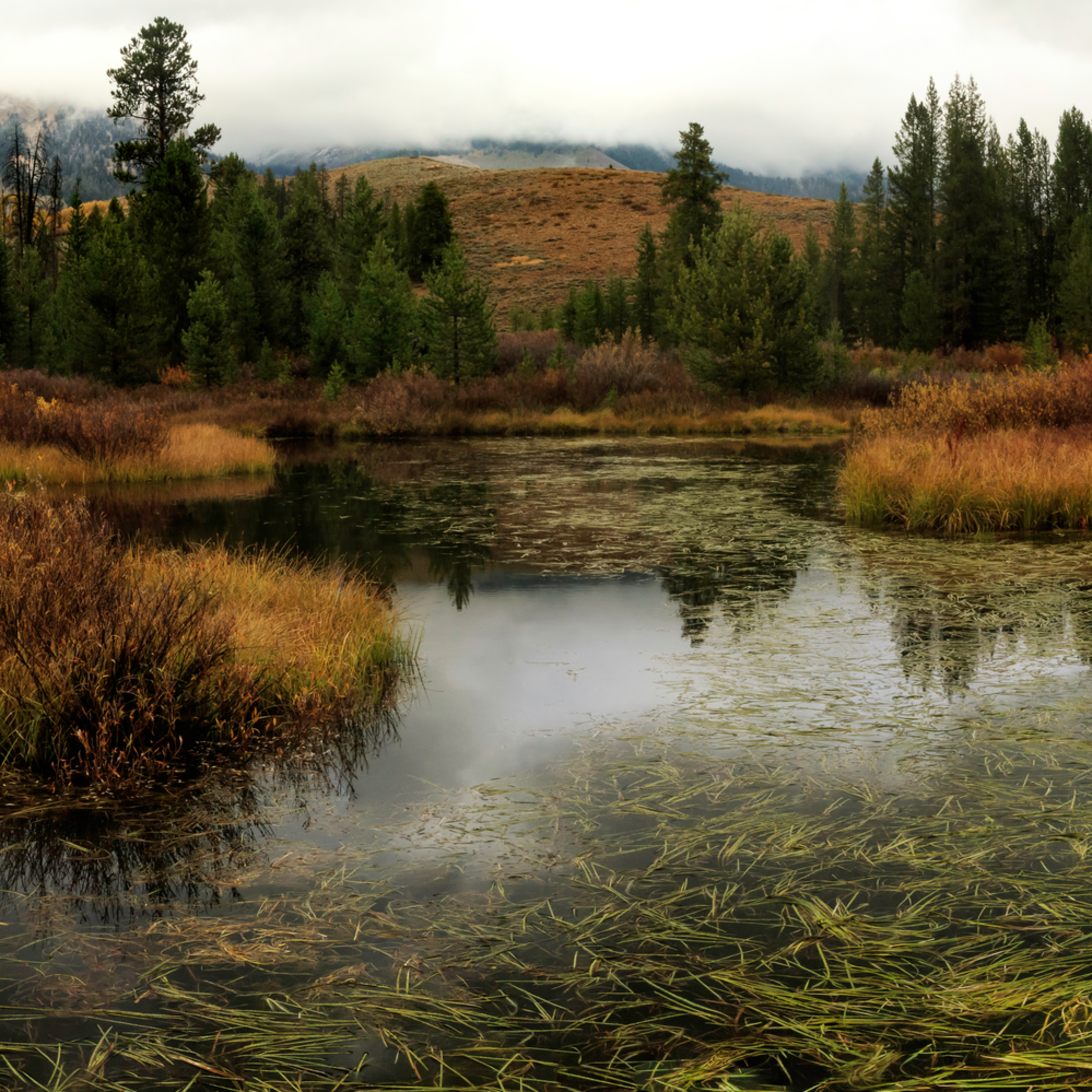 Beaver Pond 1 Photography Art | Mallory Winters Photography