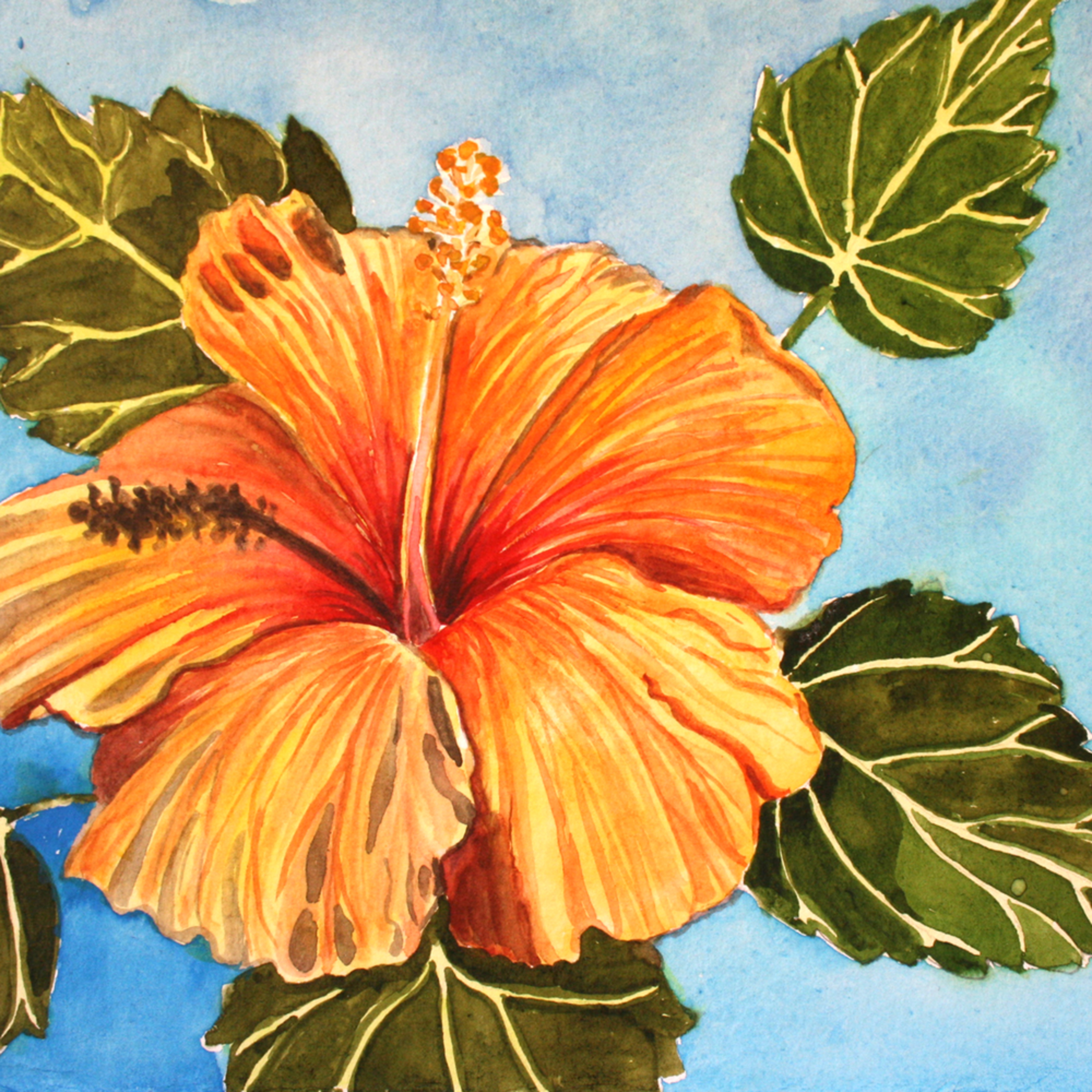 Orange Hibiscus Flower Art for Sale