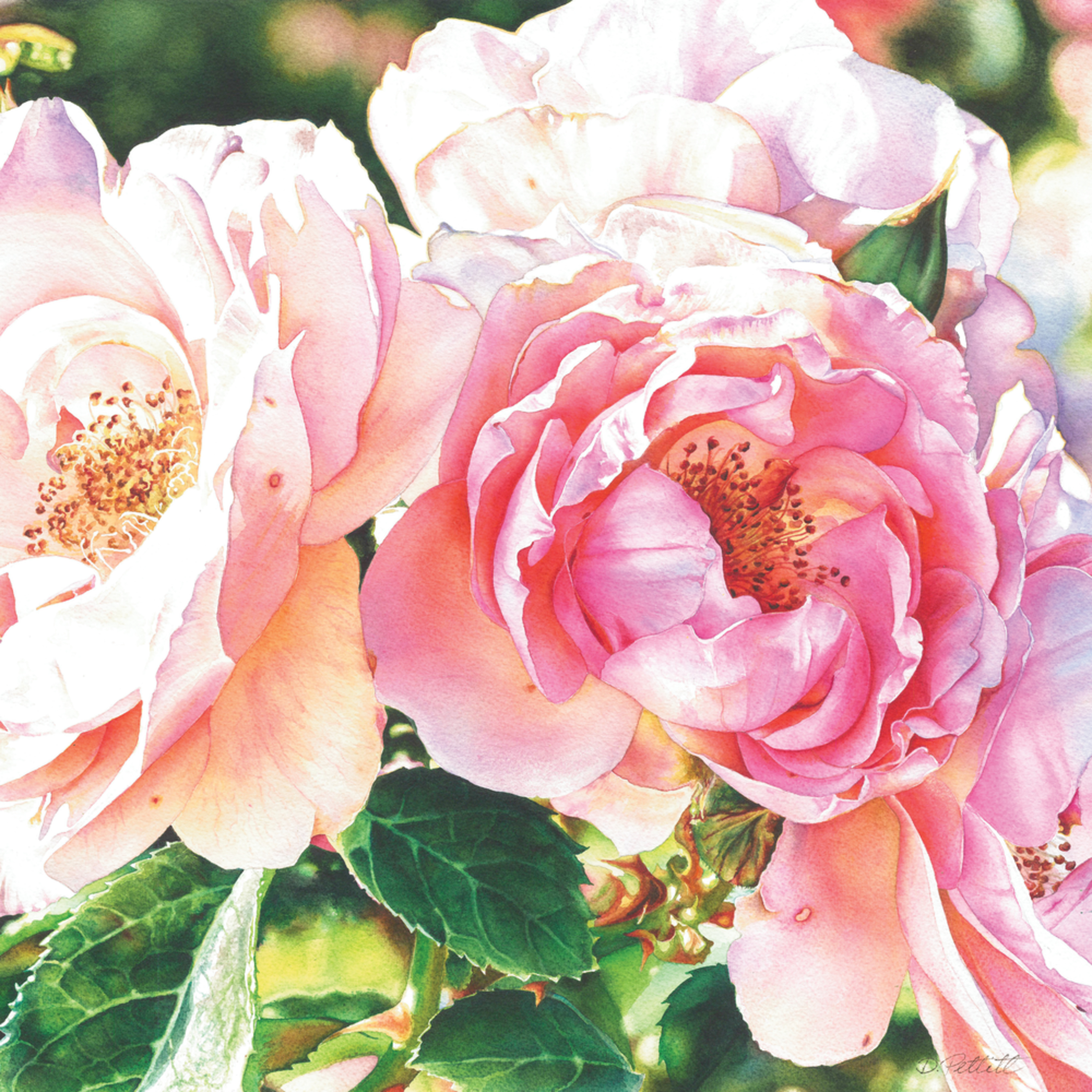 A Rose In Winter 2