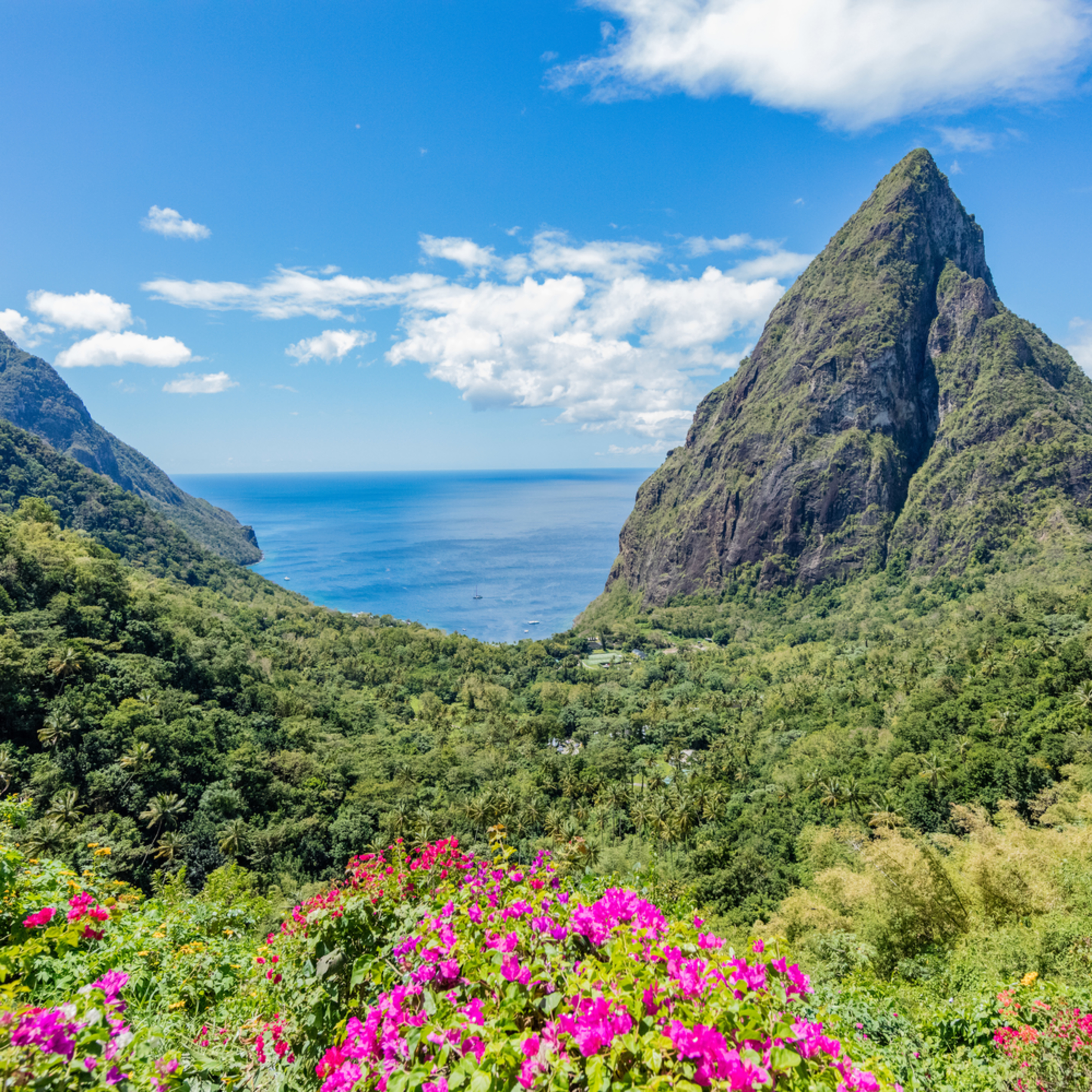 ourbeautifulworld com