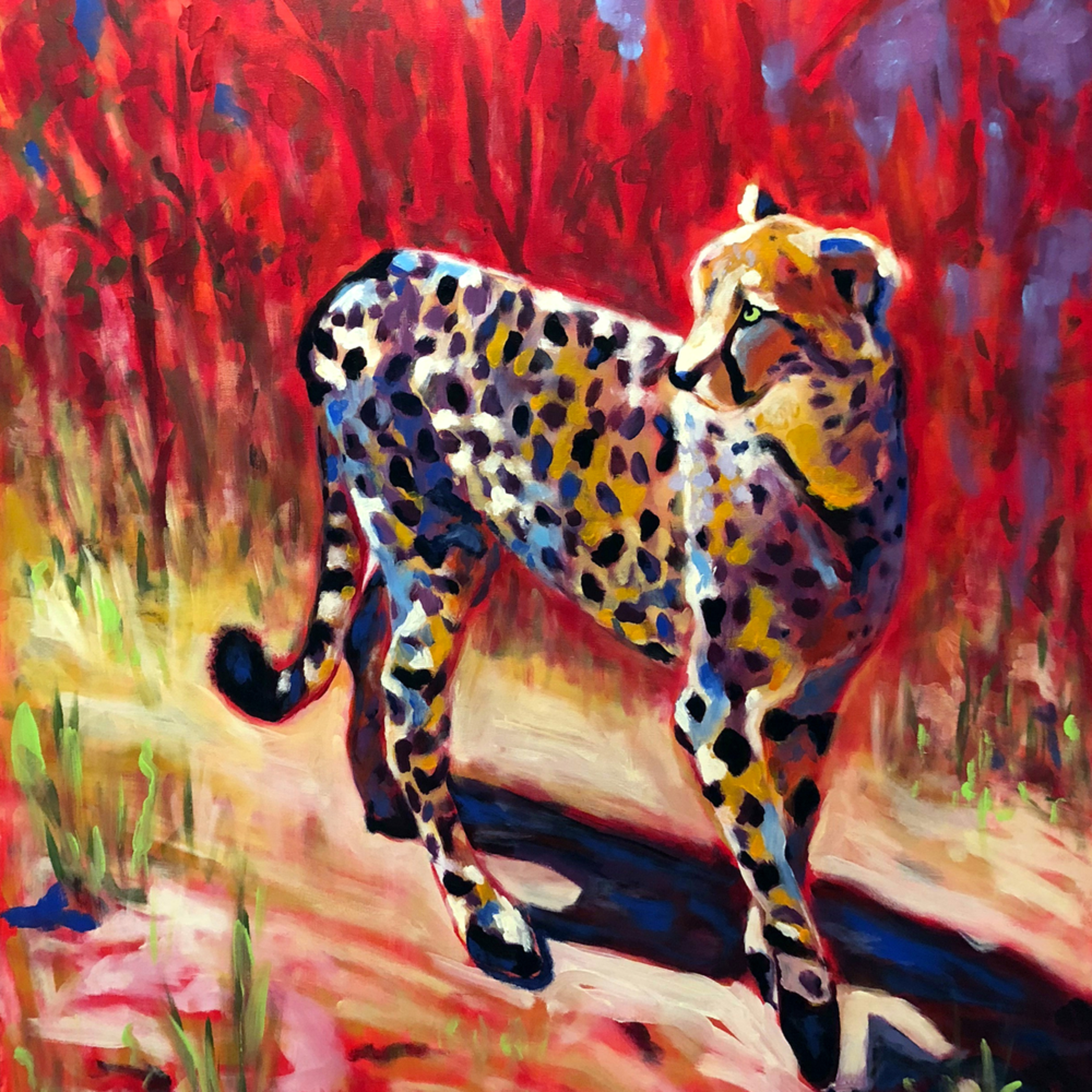 Say Cheetah Fine Art Painting Print By Rick Osborn Artist
