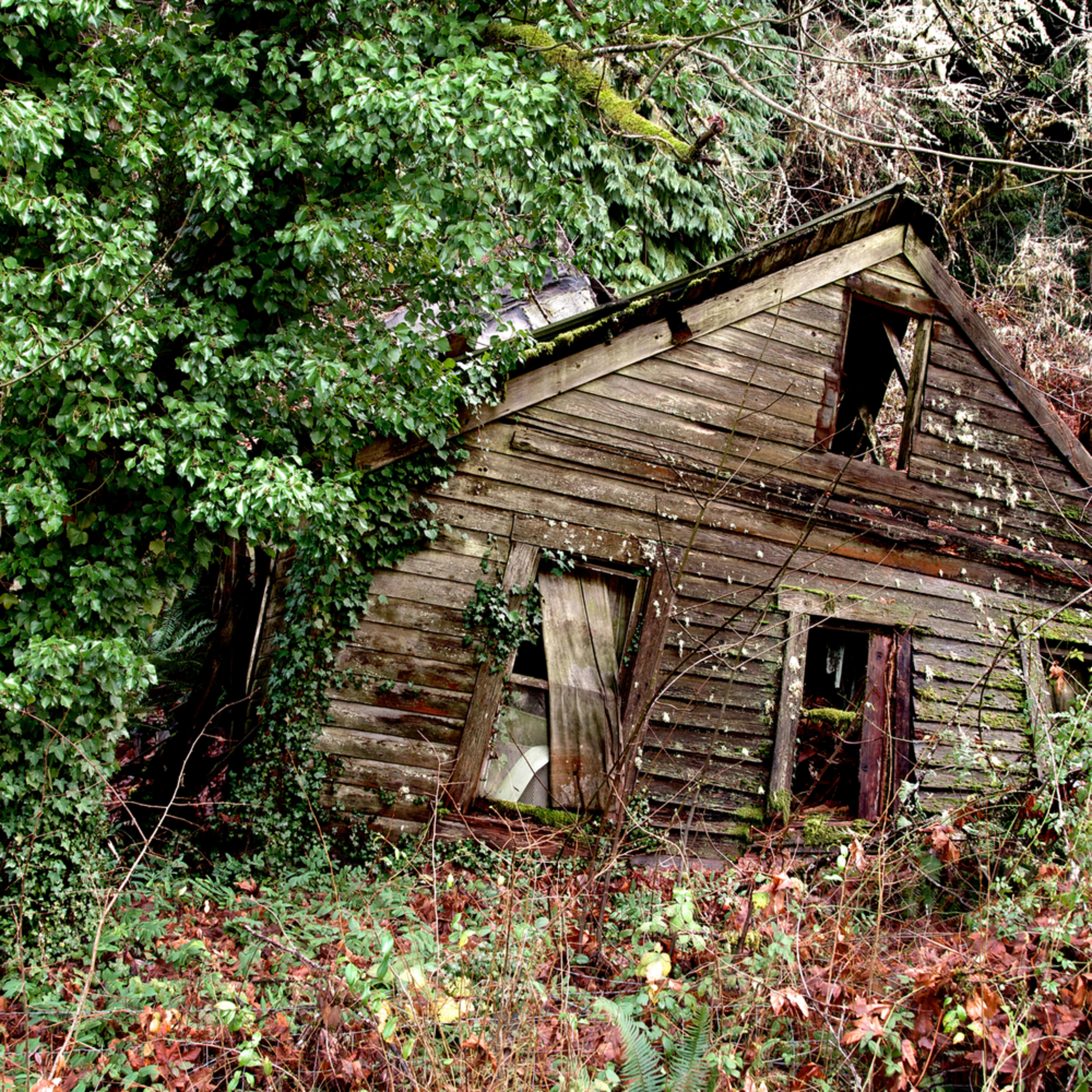 Write about being inside an old abandoned warehouse. image