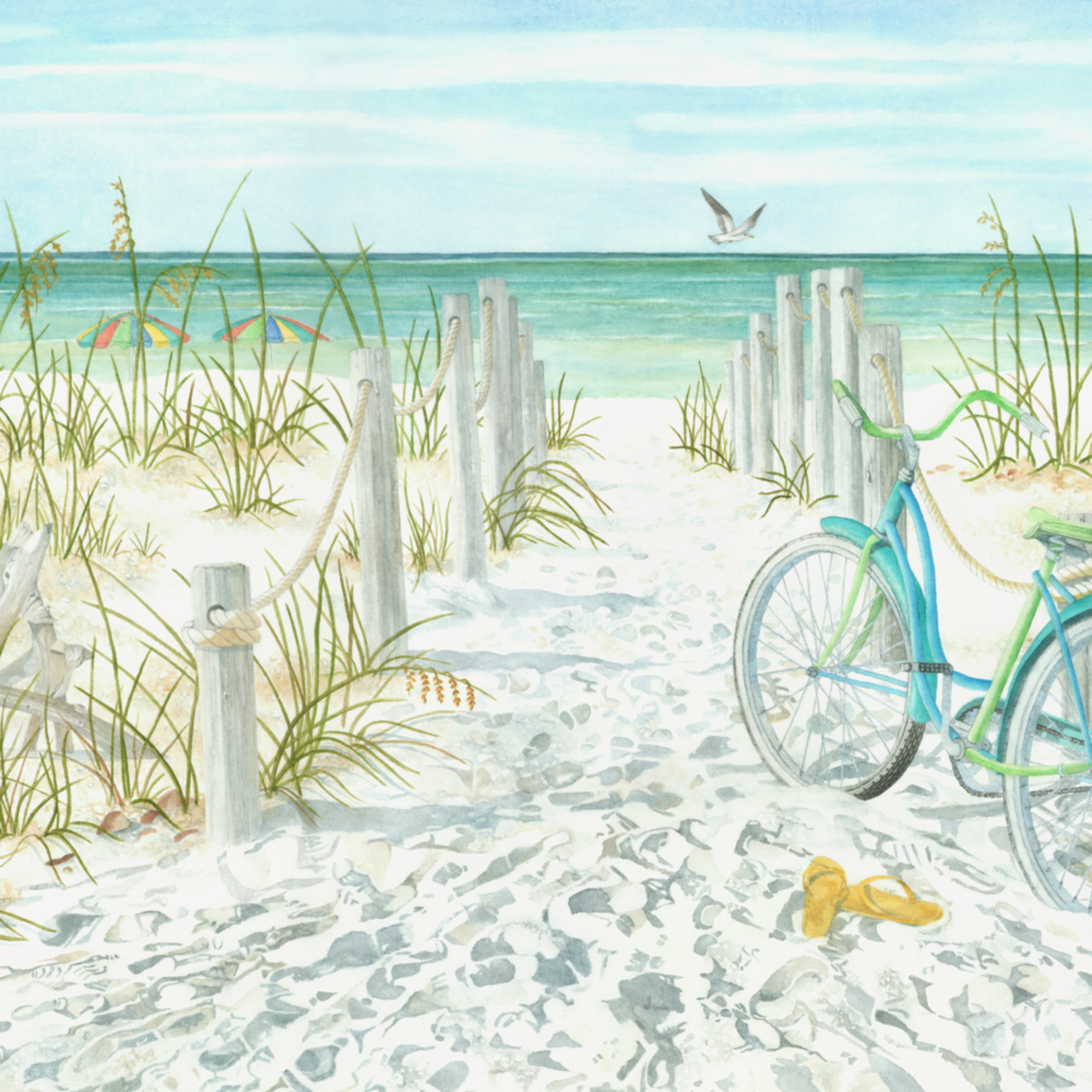 bicycle for beach sand