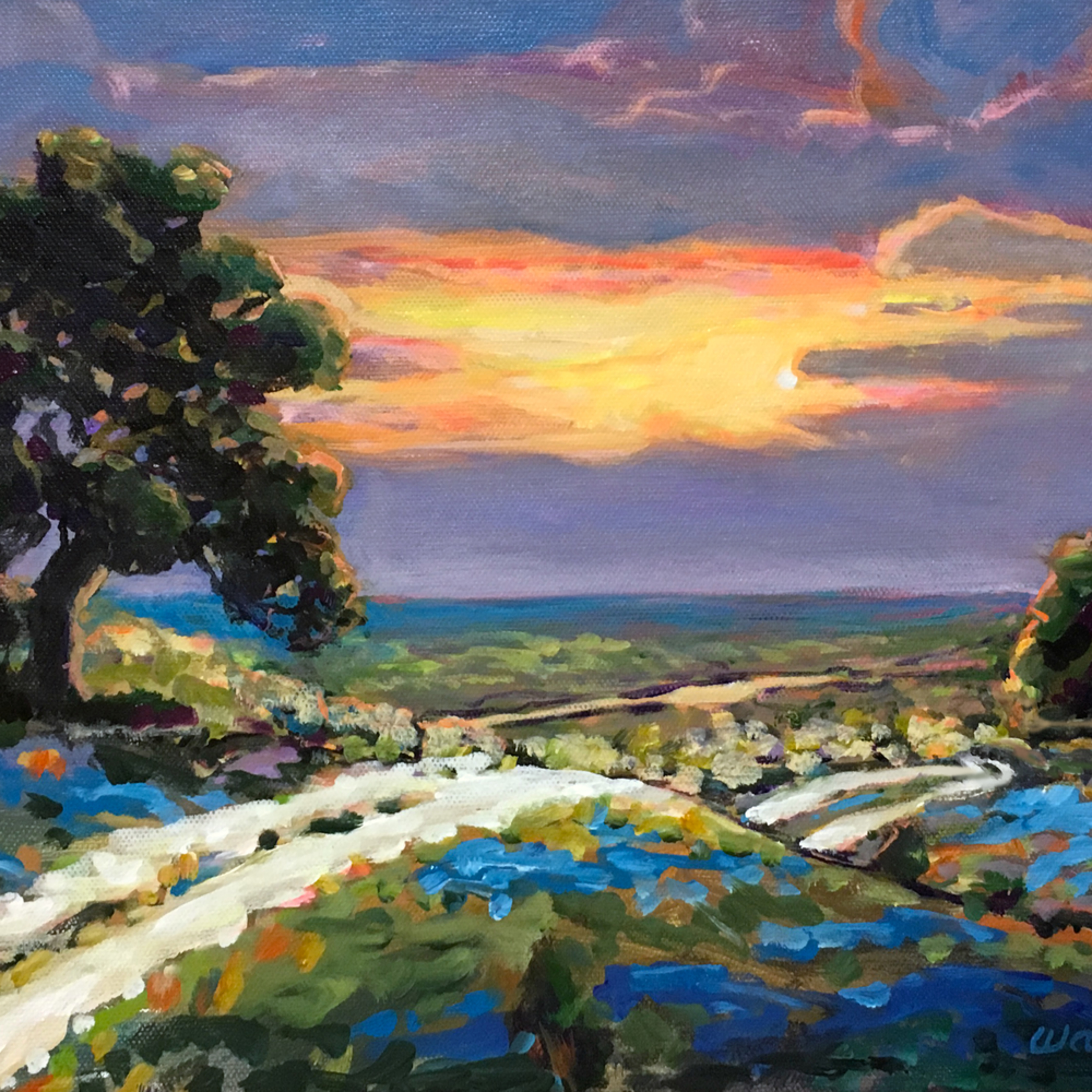 Hill Country Sunset Vista Art Charles Wallis