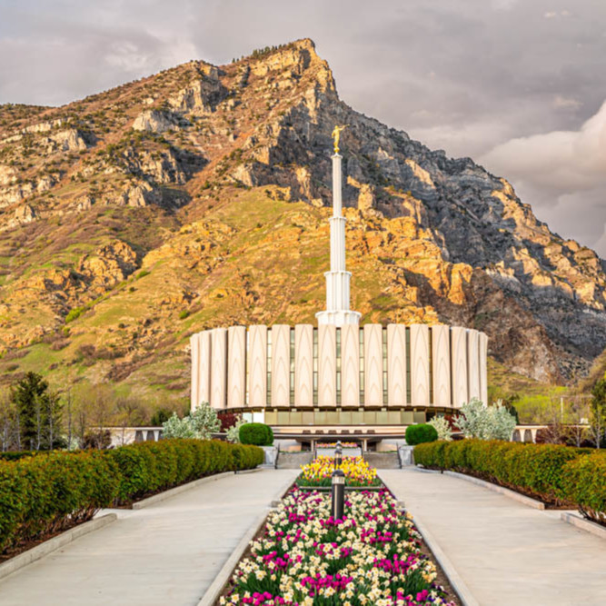 Provo Temple - Spring Flowers