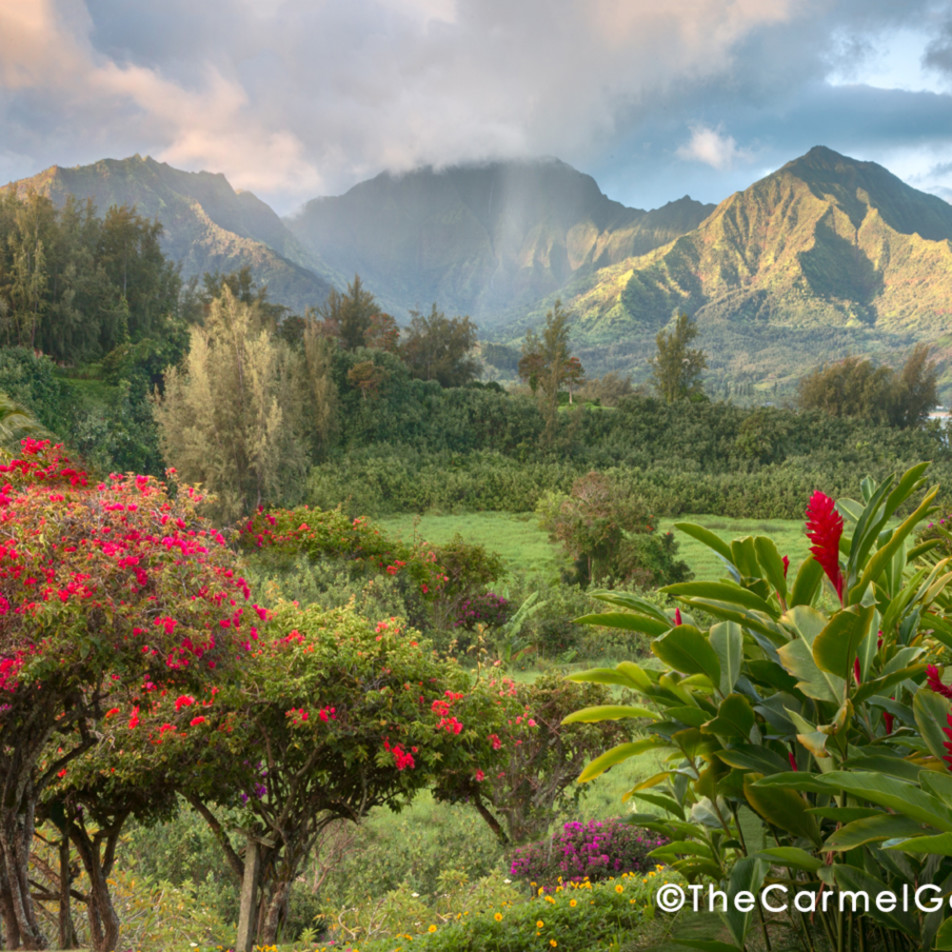 Kauai, the Garden Isle, Hanalei, Kauai flowers garden