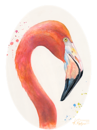 Flamingo.jpg pa4miu