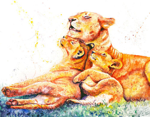 Lioness cubs puzzle o1dl70