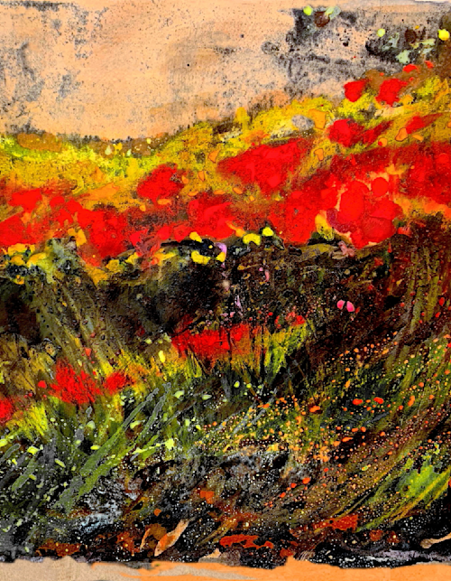 Red poppies and goldenrod   print nhkrzs