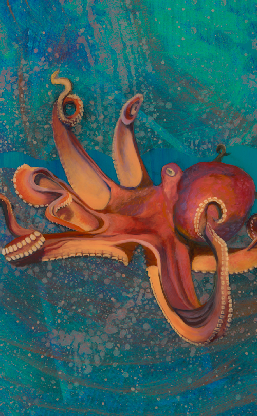 Octopus eah3ig