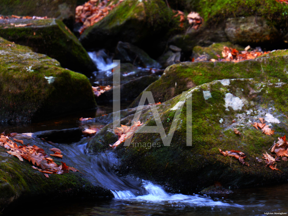 Spilled Time – Autumn Stream over Mossy Rocks Photography