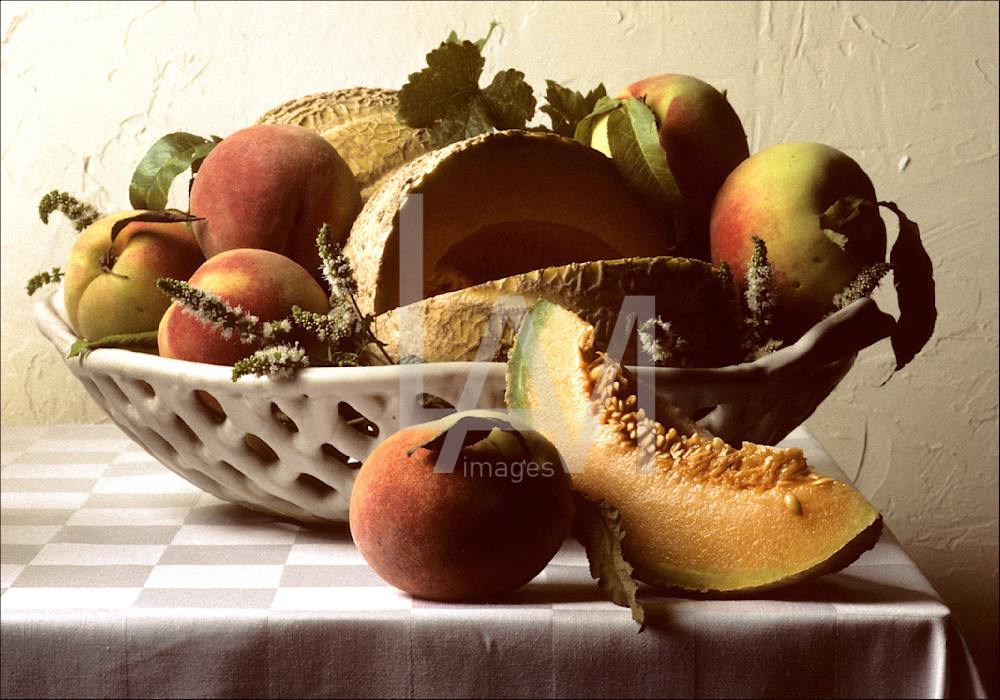 Melon Photography Art | LAM Images
