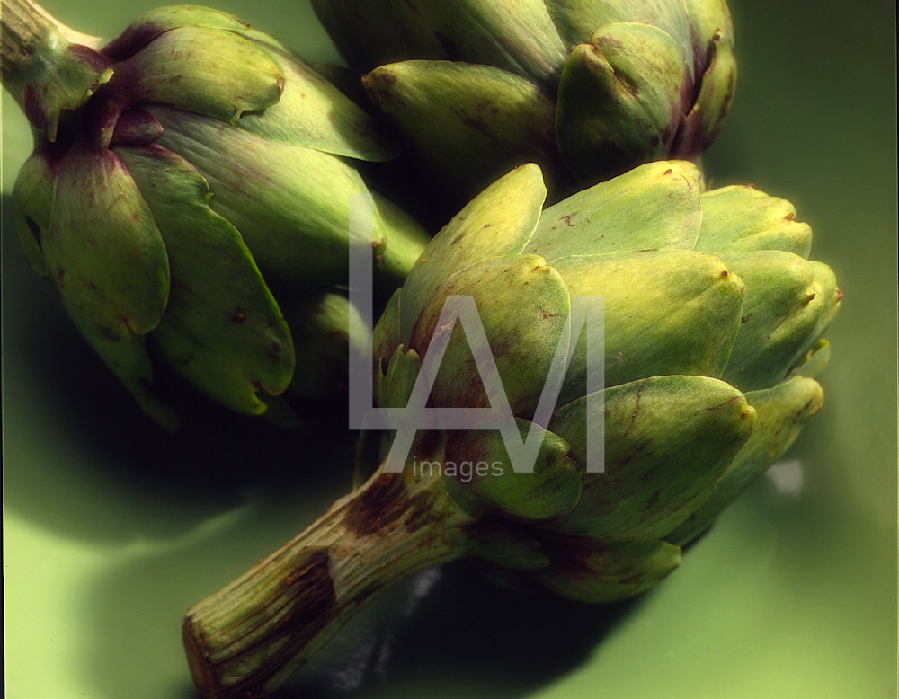 Artichoke. Photography Art | LAM Images