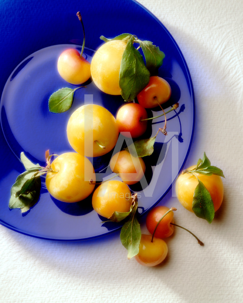 Blue Plate Photography Art | LAM Images