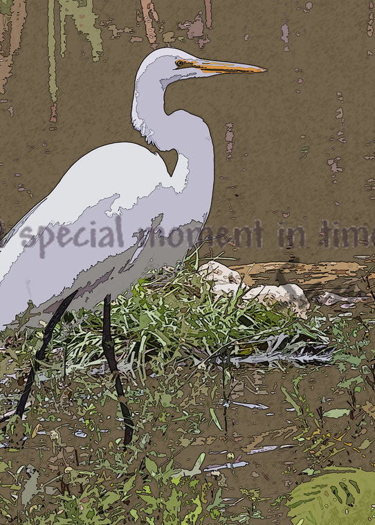 Everglades Stork photographic art painting for sale